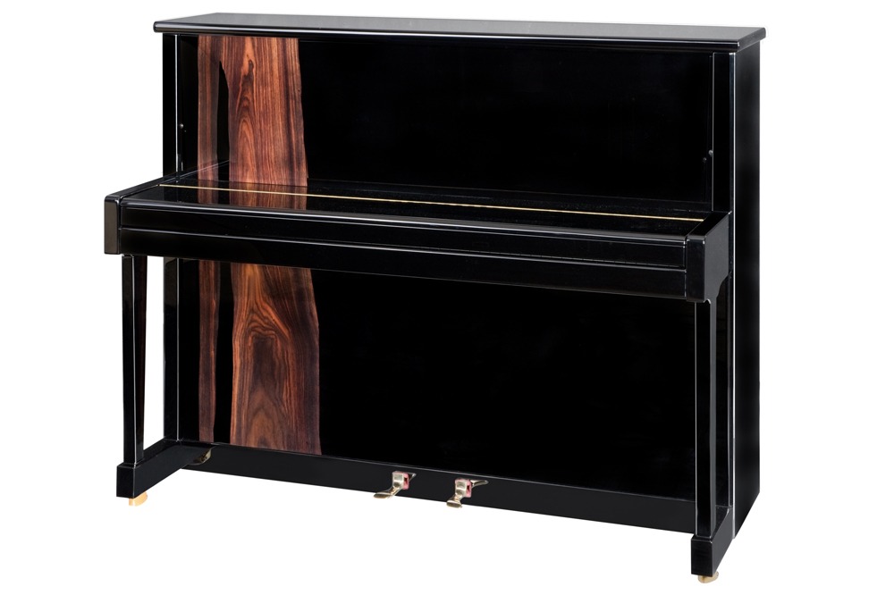 Steingraeber & Sohne Model 122 view