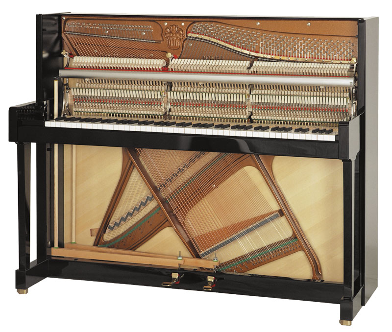 Steingraeber & Sohne Model 122 view