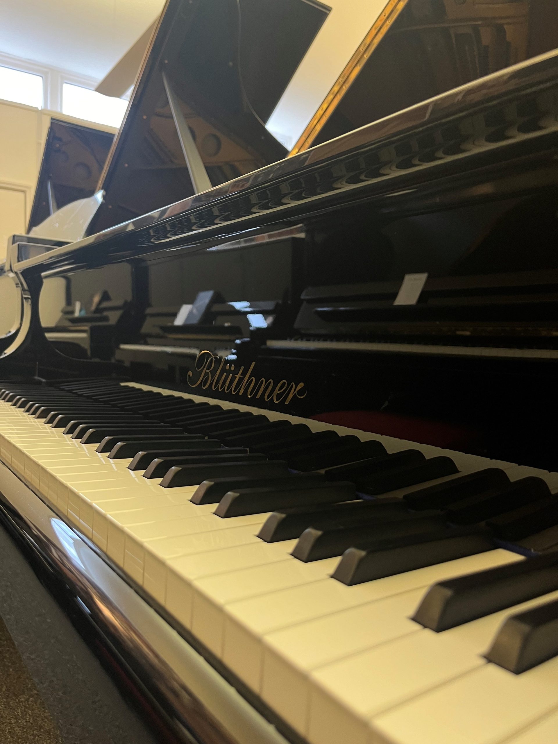 Bluthner model 10 view