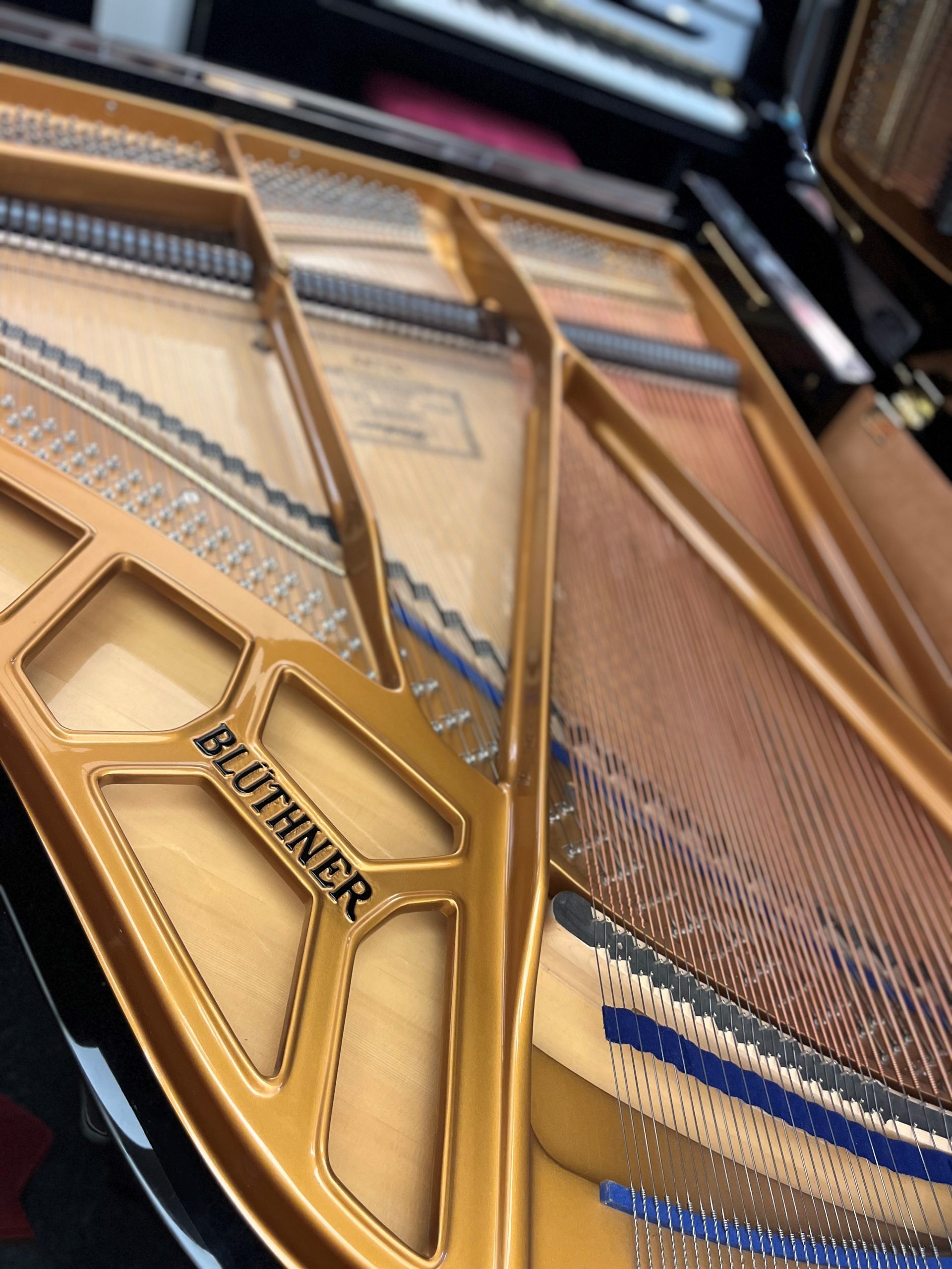 Bluthner model 10 view