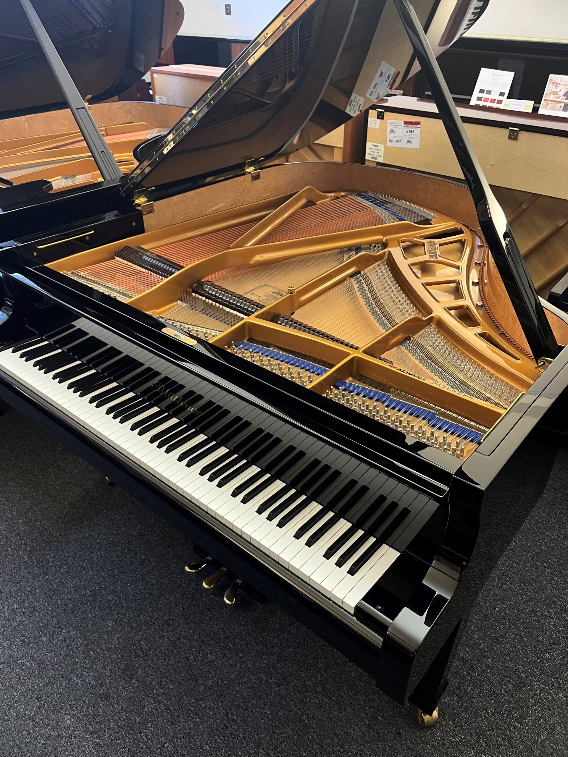 Bluthner model 10 view