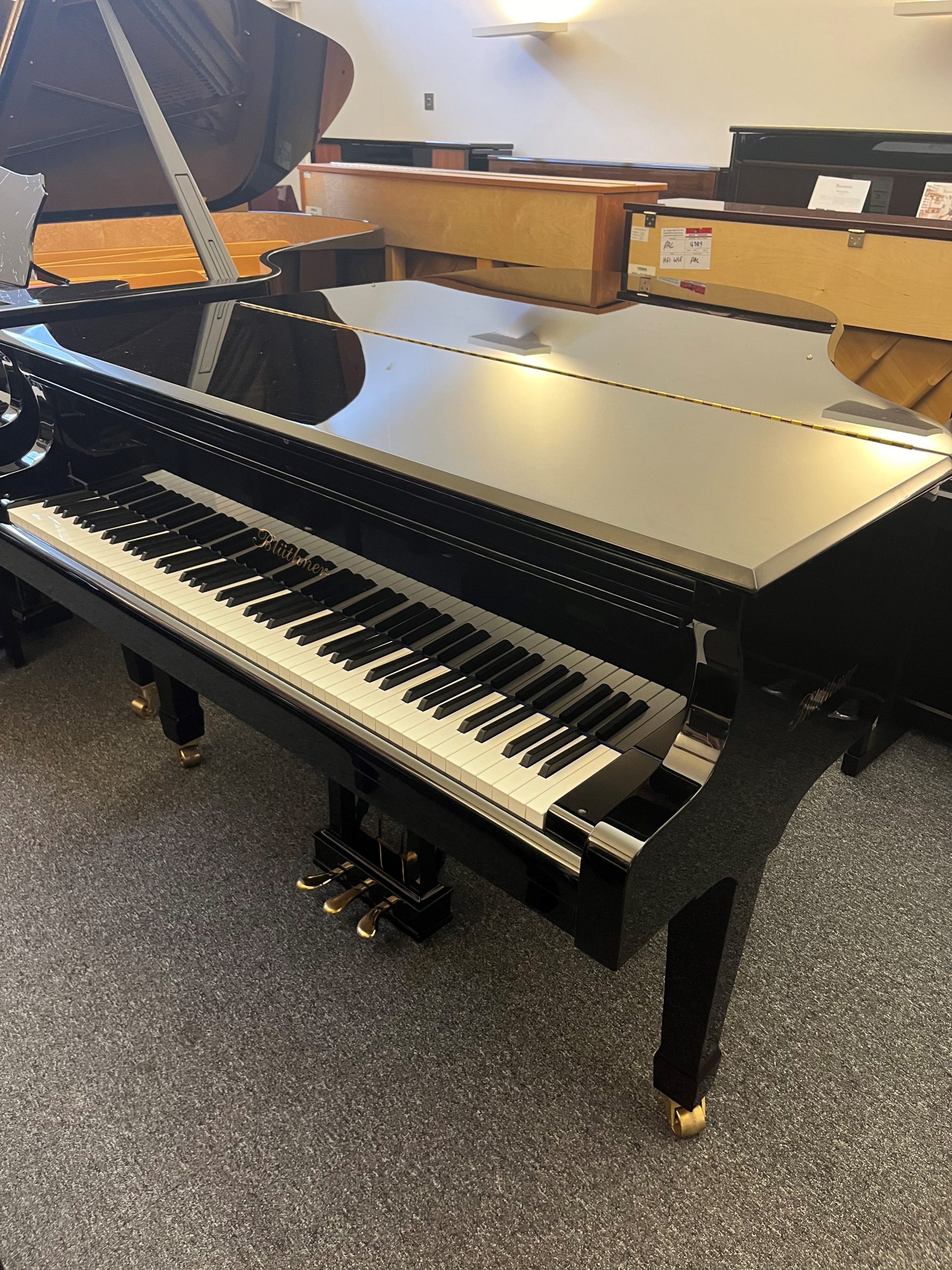 Bluthner model 10 view