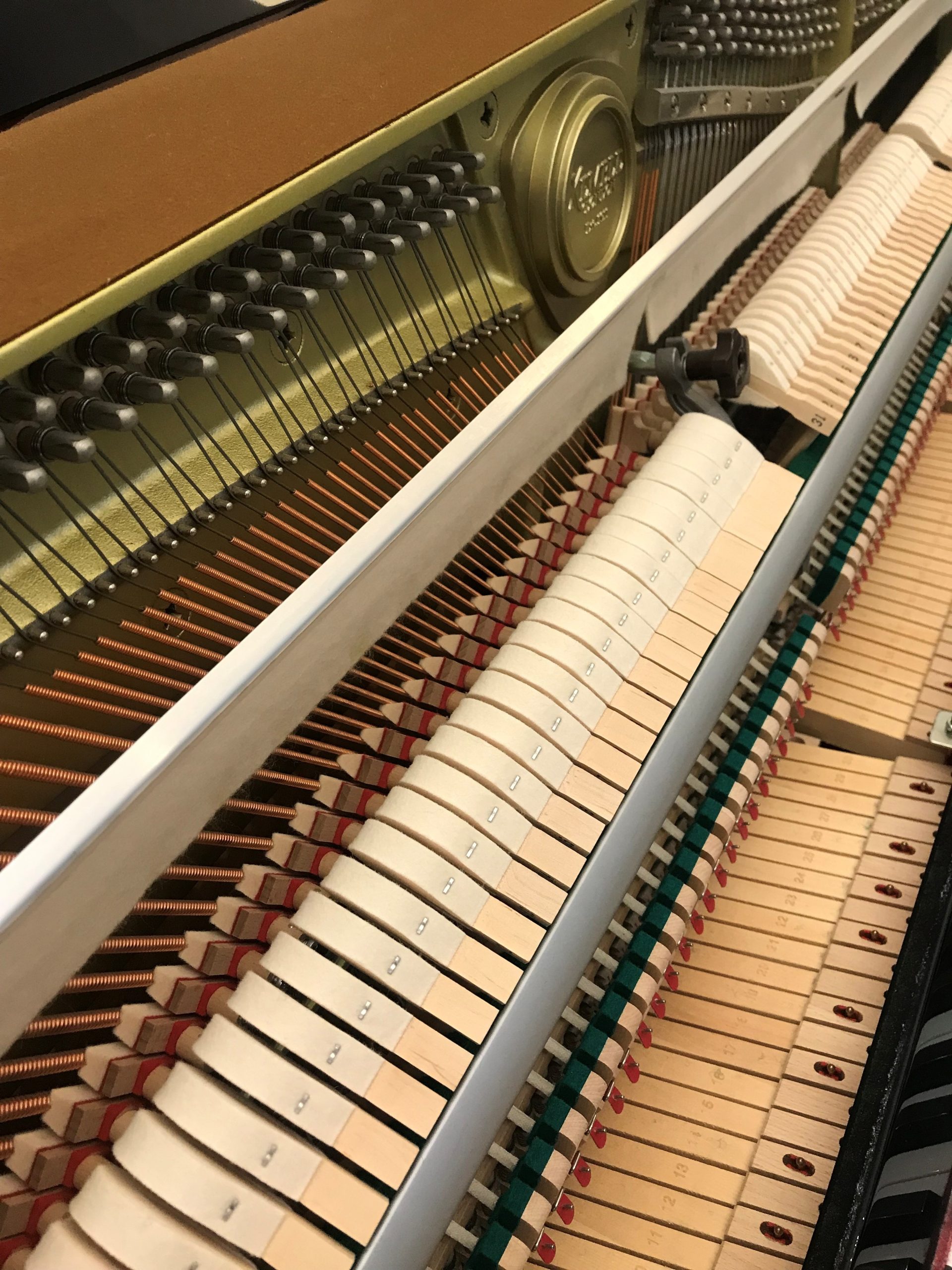 Kemble 115 Concerto view