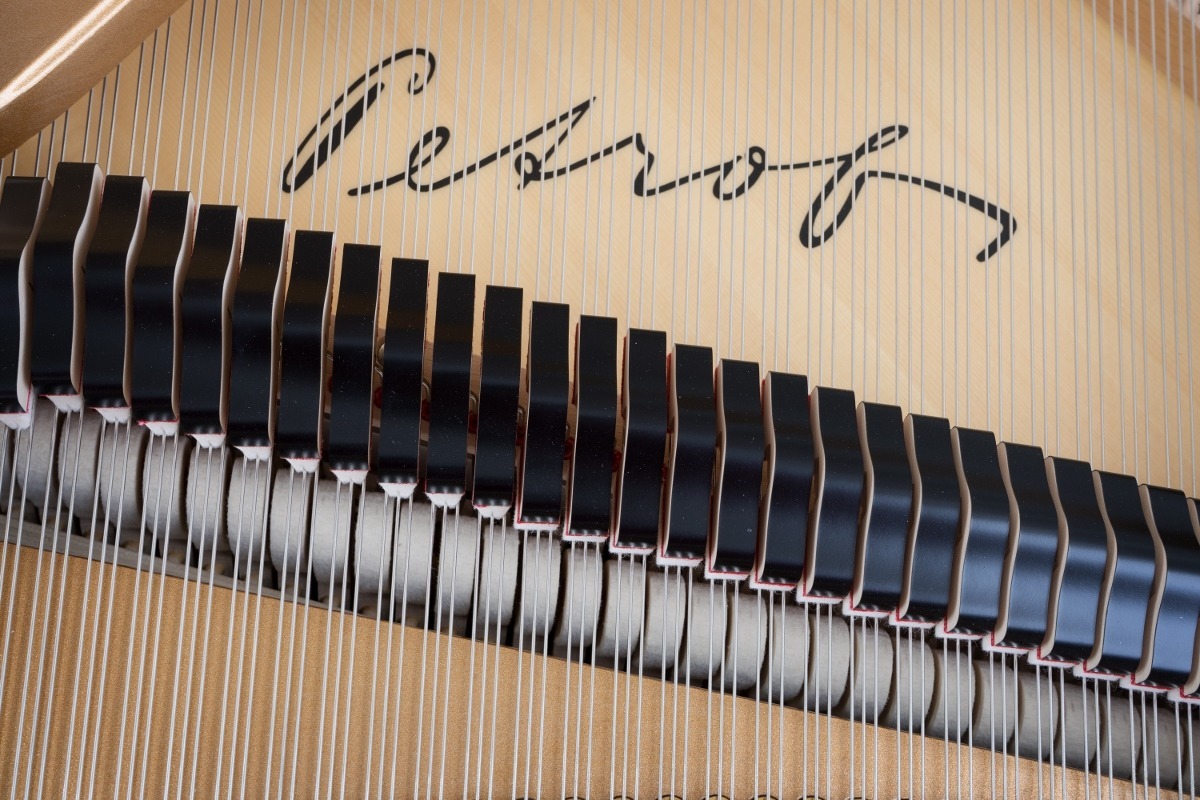 Petrof P173 Breeze view