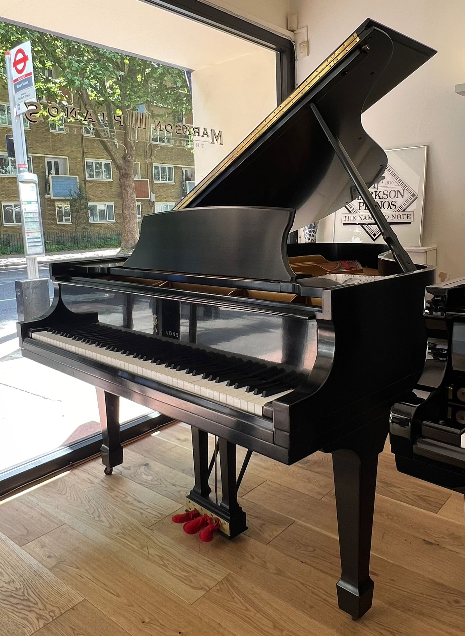 Steinway Model O view