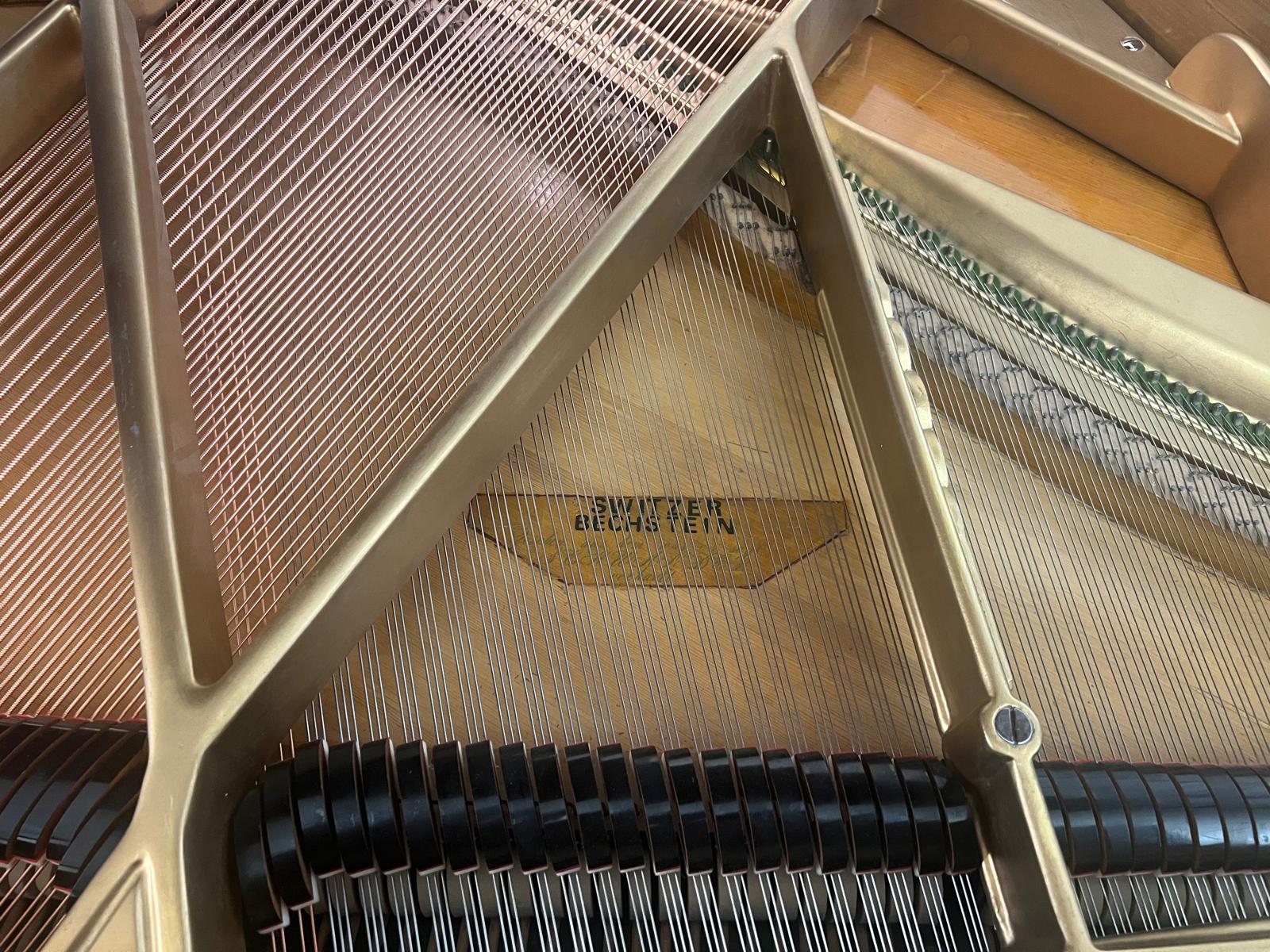 Swiss Bechstein view