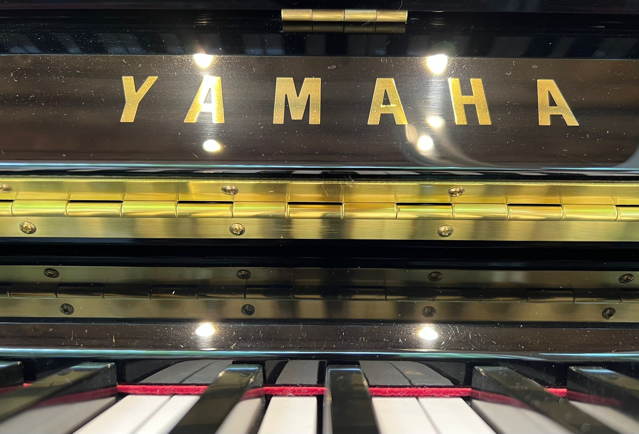 Yamaha DU1 Enspire view