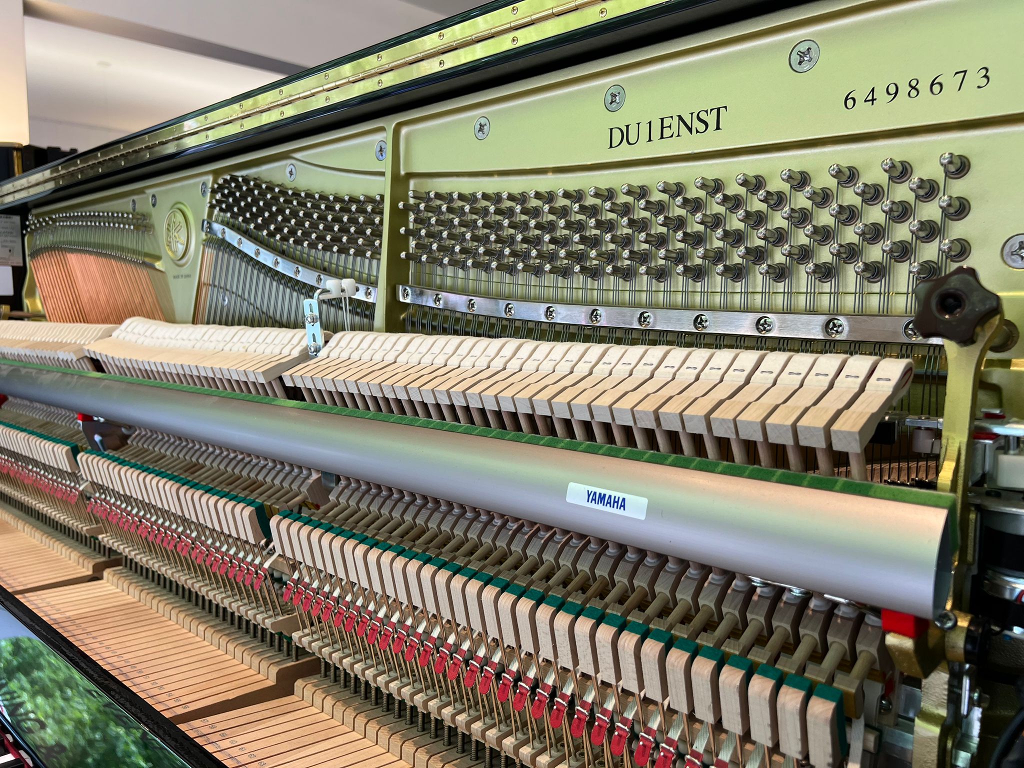 Yamaha DU1 Enspire view