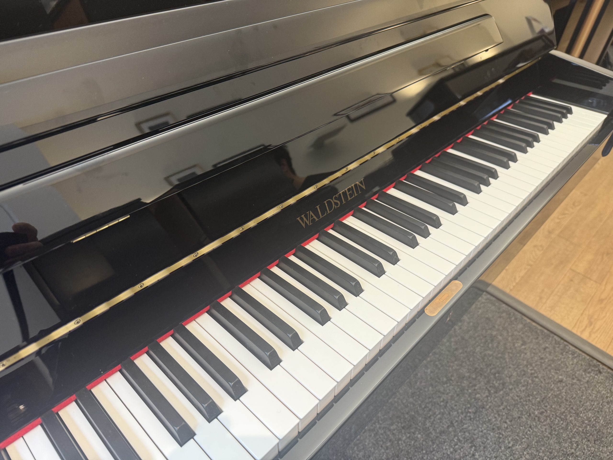 Waldstein 108DI view