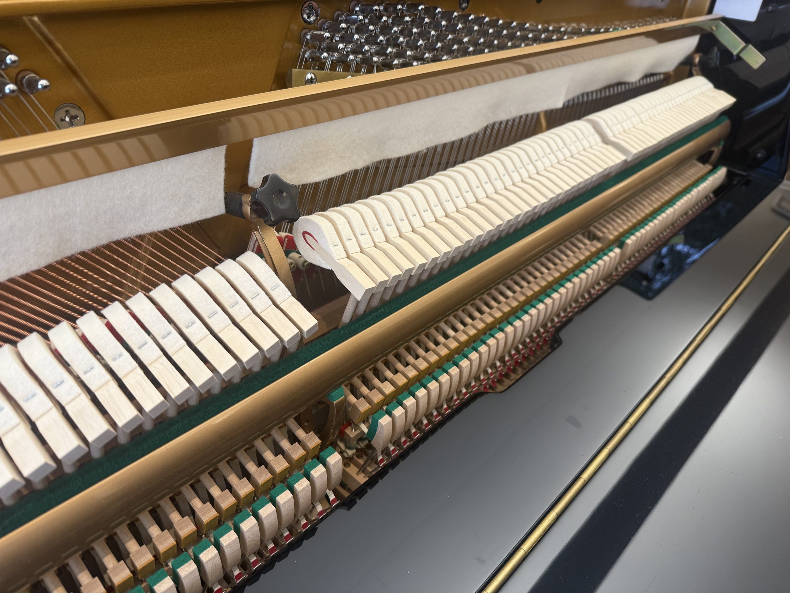 Waldstein 108DI view