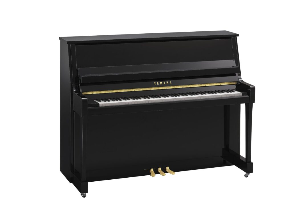 Yamaha Model B20 - Main View
