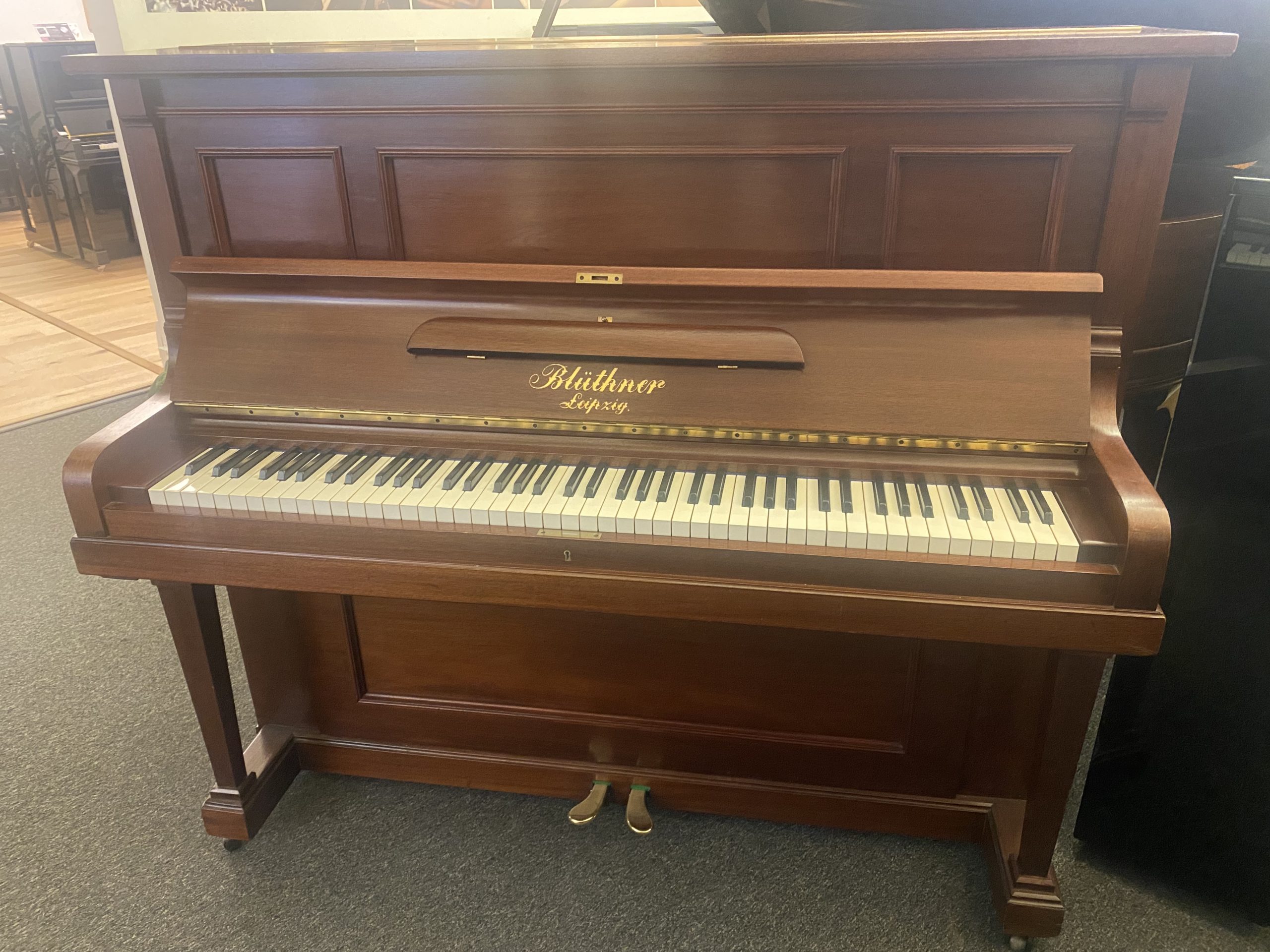 Bluthner 130 Traditional