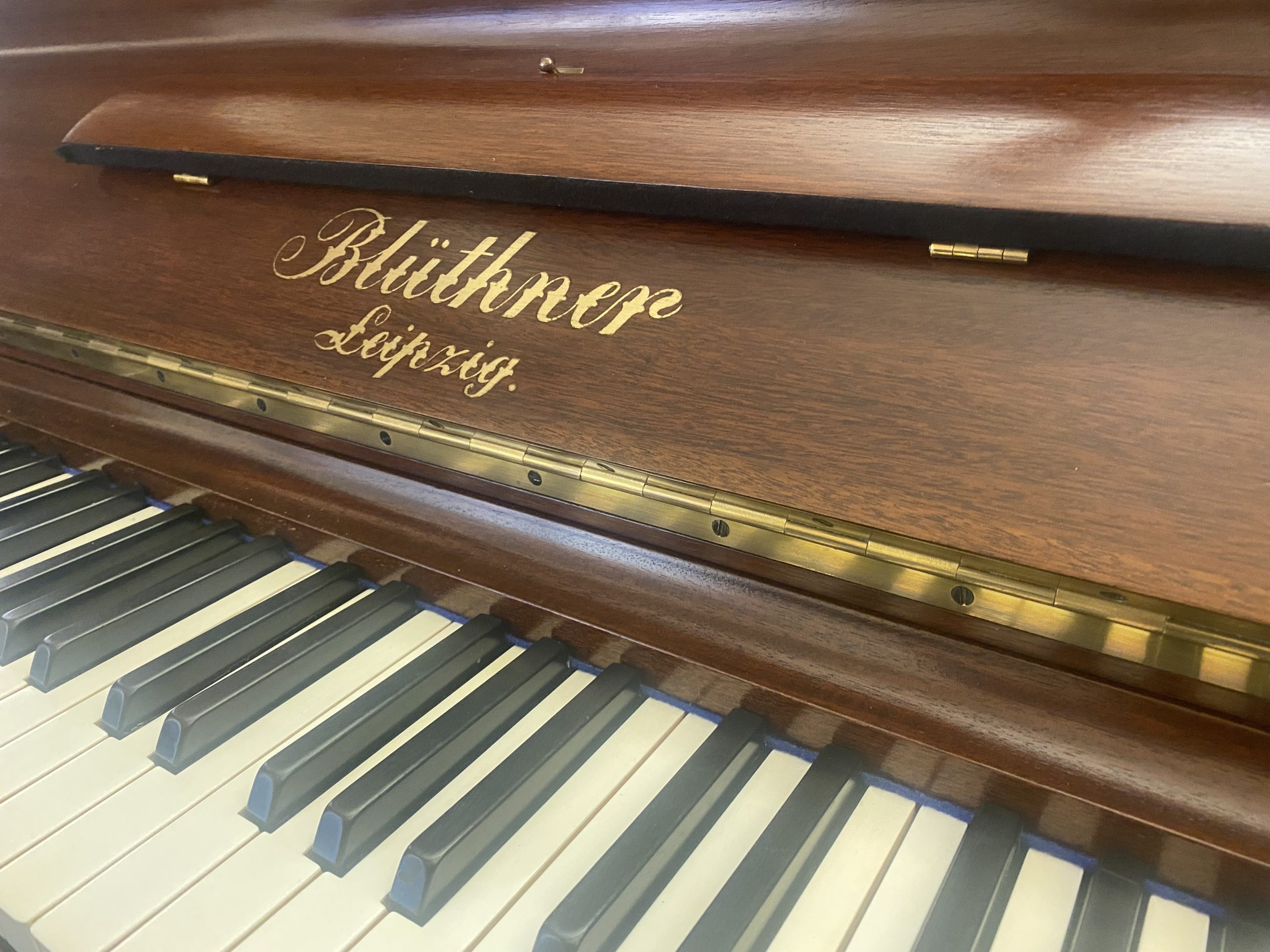 Bluthner 130 Traditional view