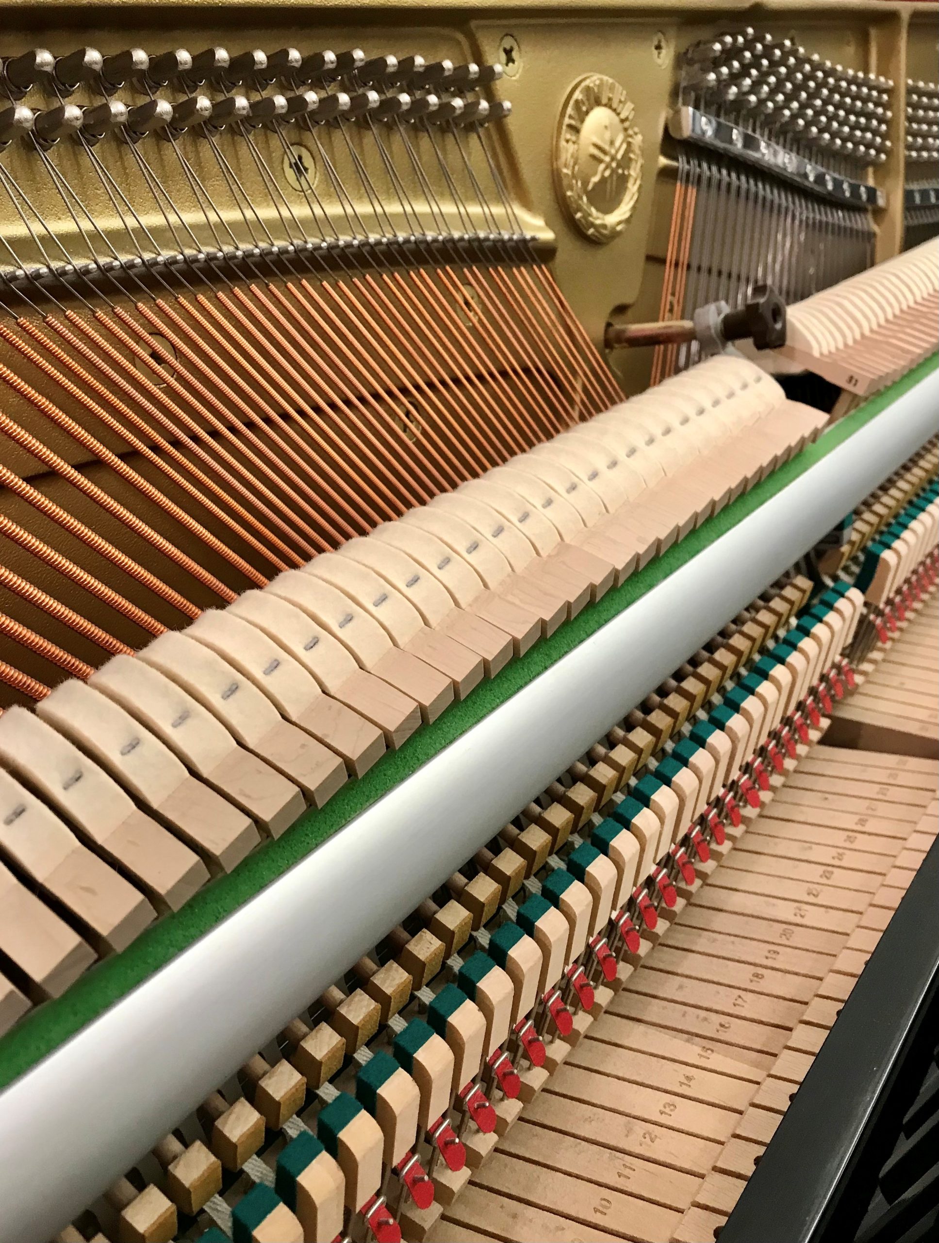 Yamaha JX113T Silent view