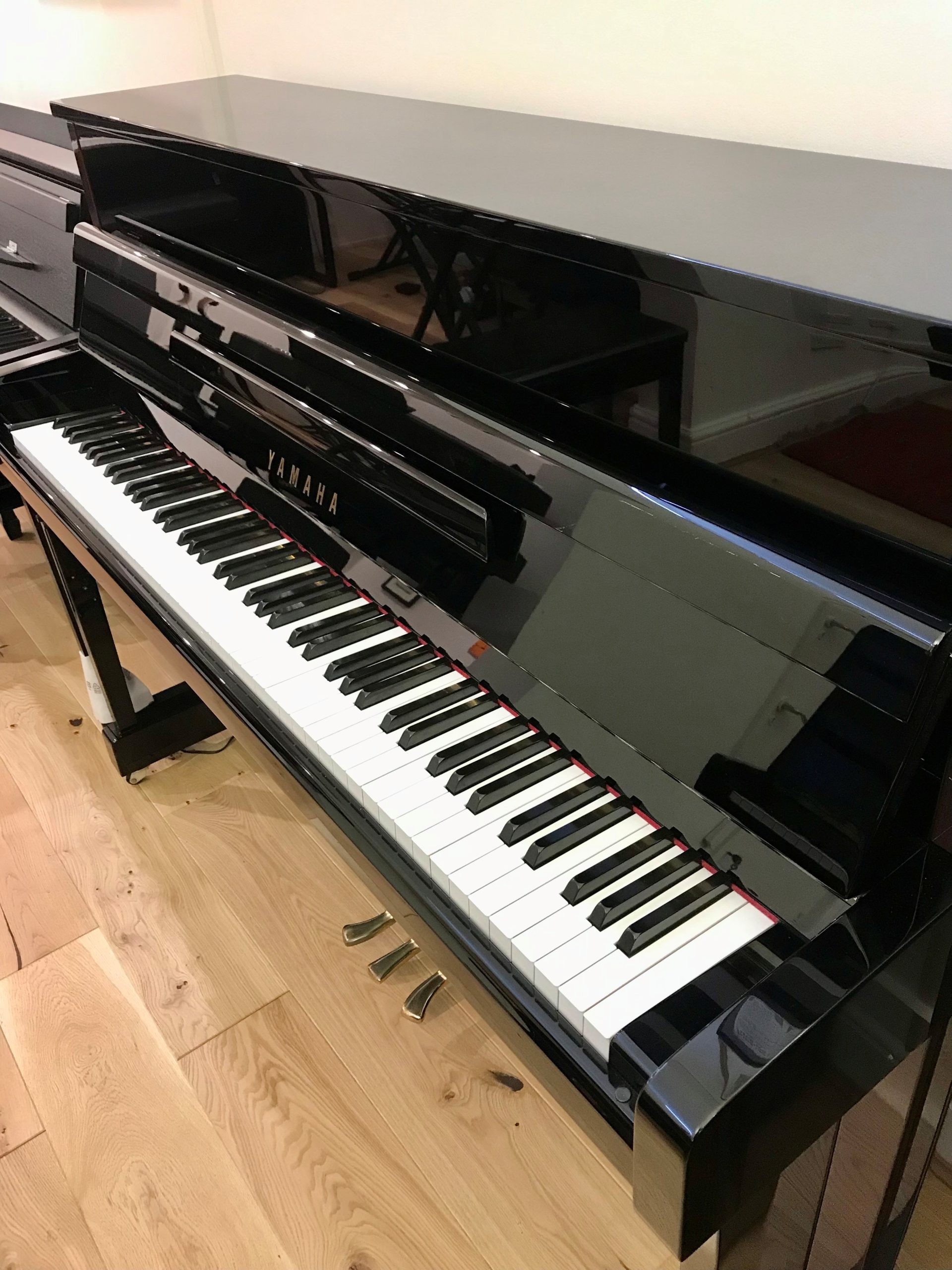 Yamaha JX113T Silent view