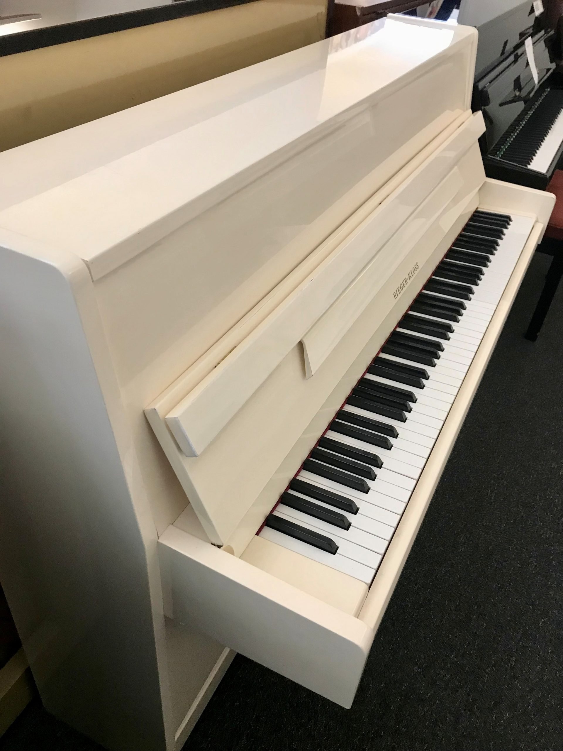 Rieger Kloss 106 view