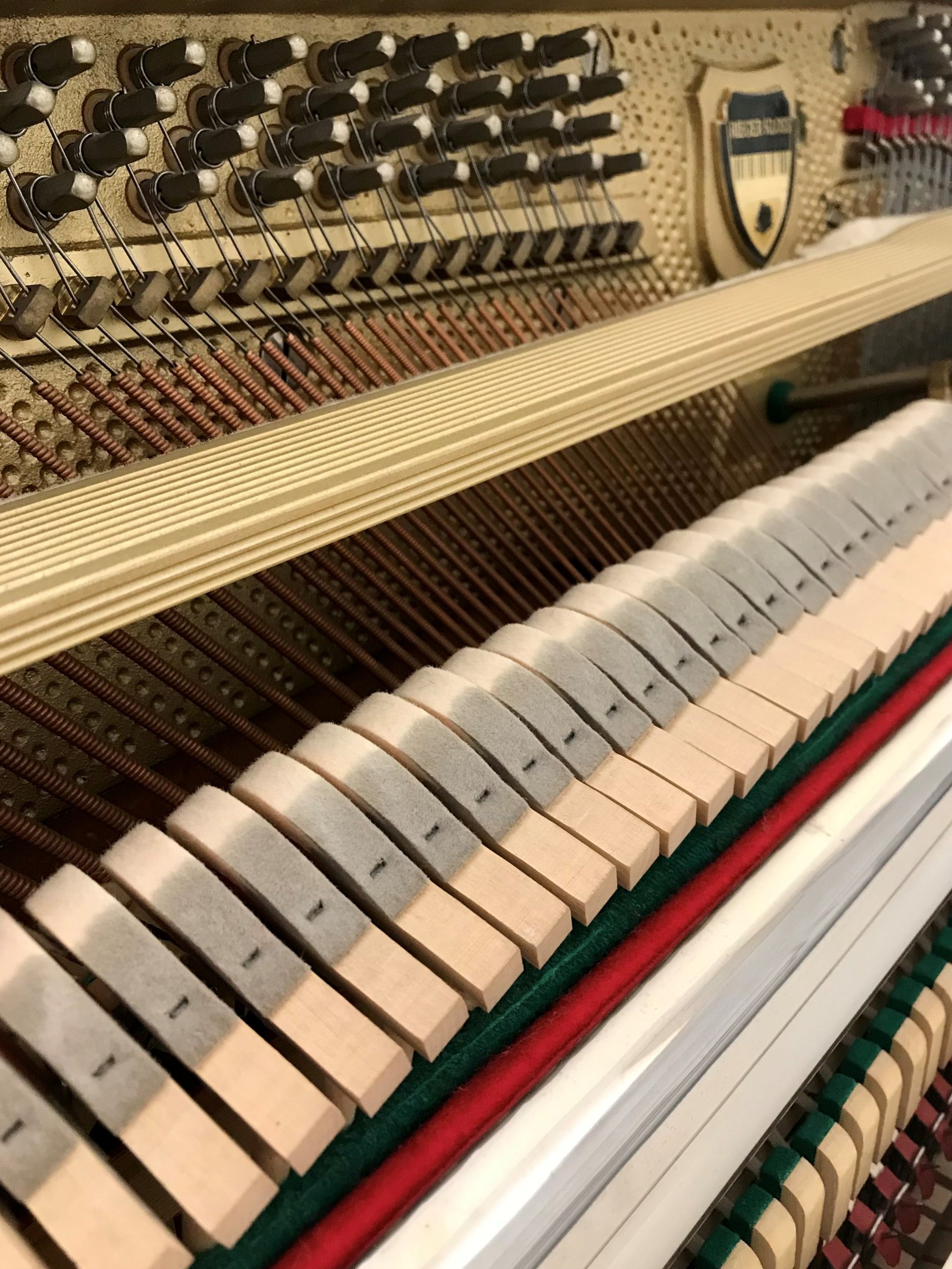 Rieger Kloss 106 view