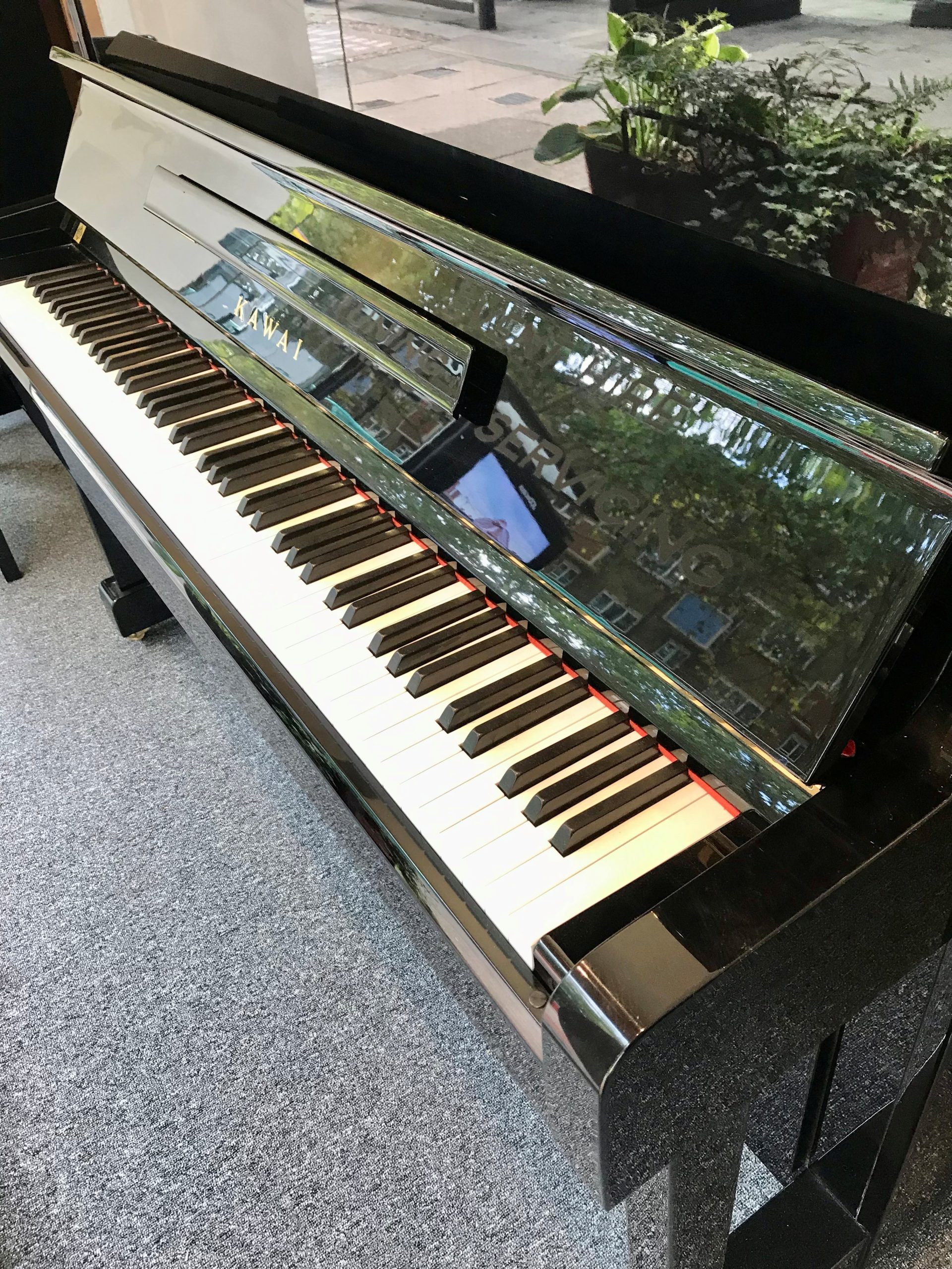 Kawai NS-10 view