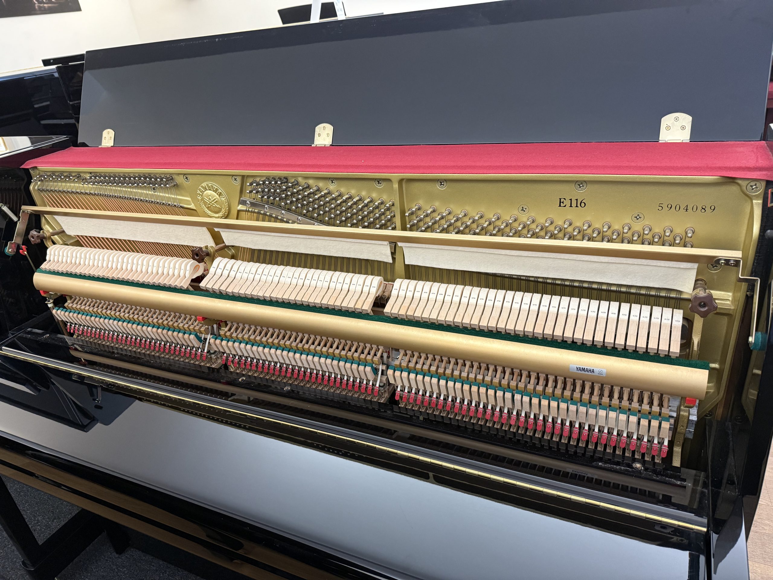 Yamaha E116 view