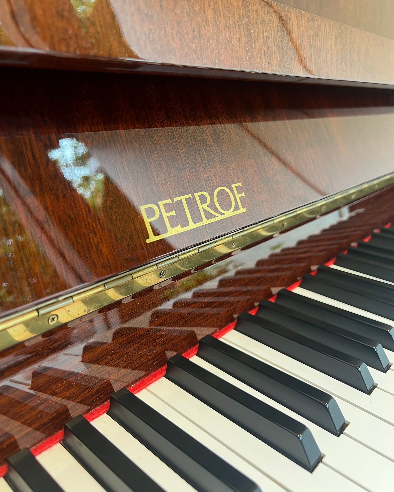 Petrof P100 Sonatina view