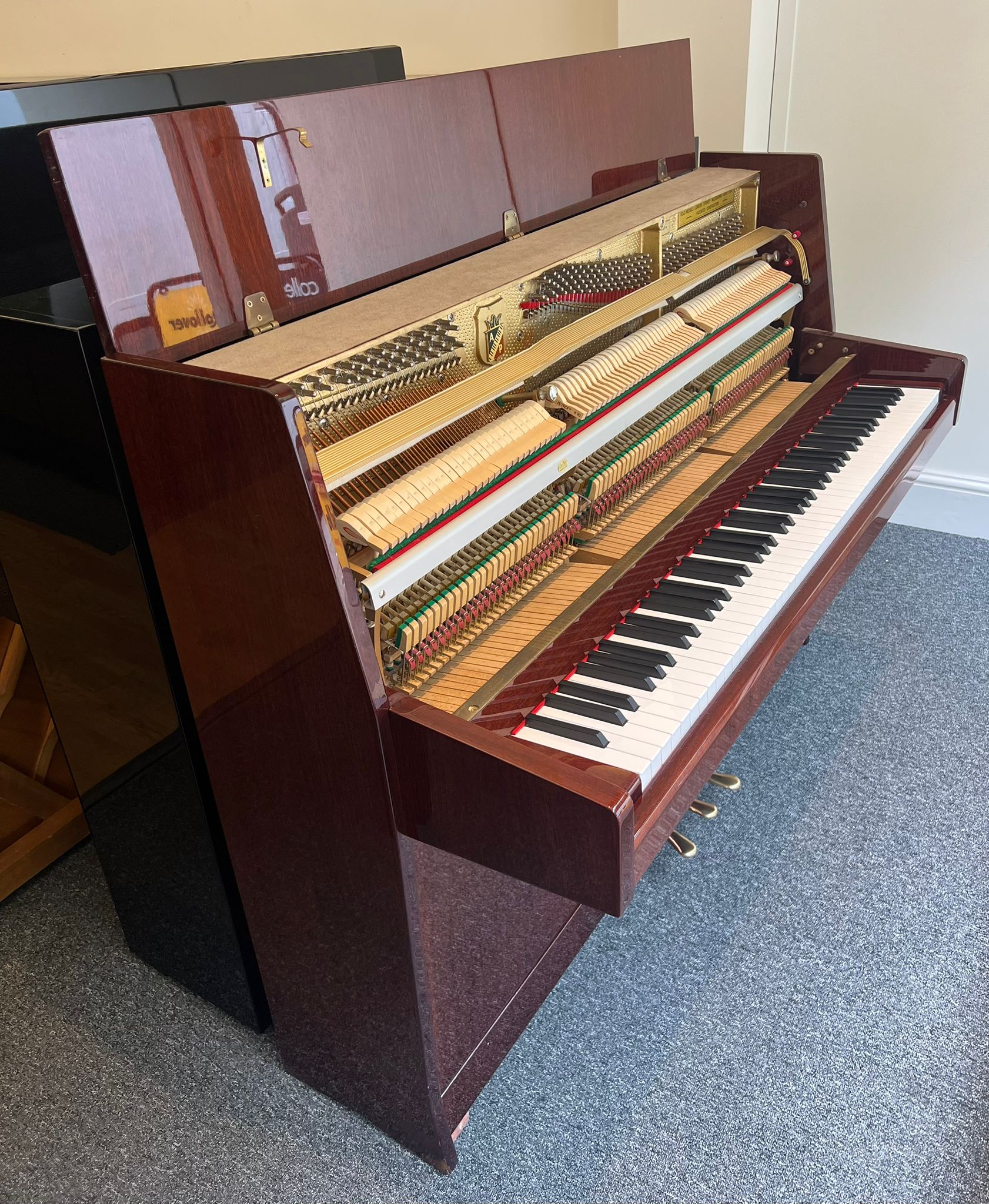 Petrof P100 Sonatina view