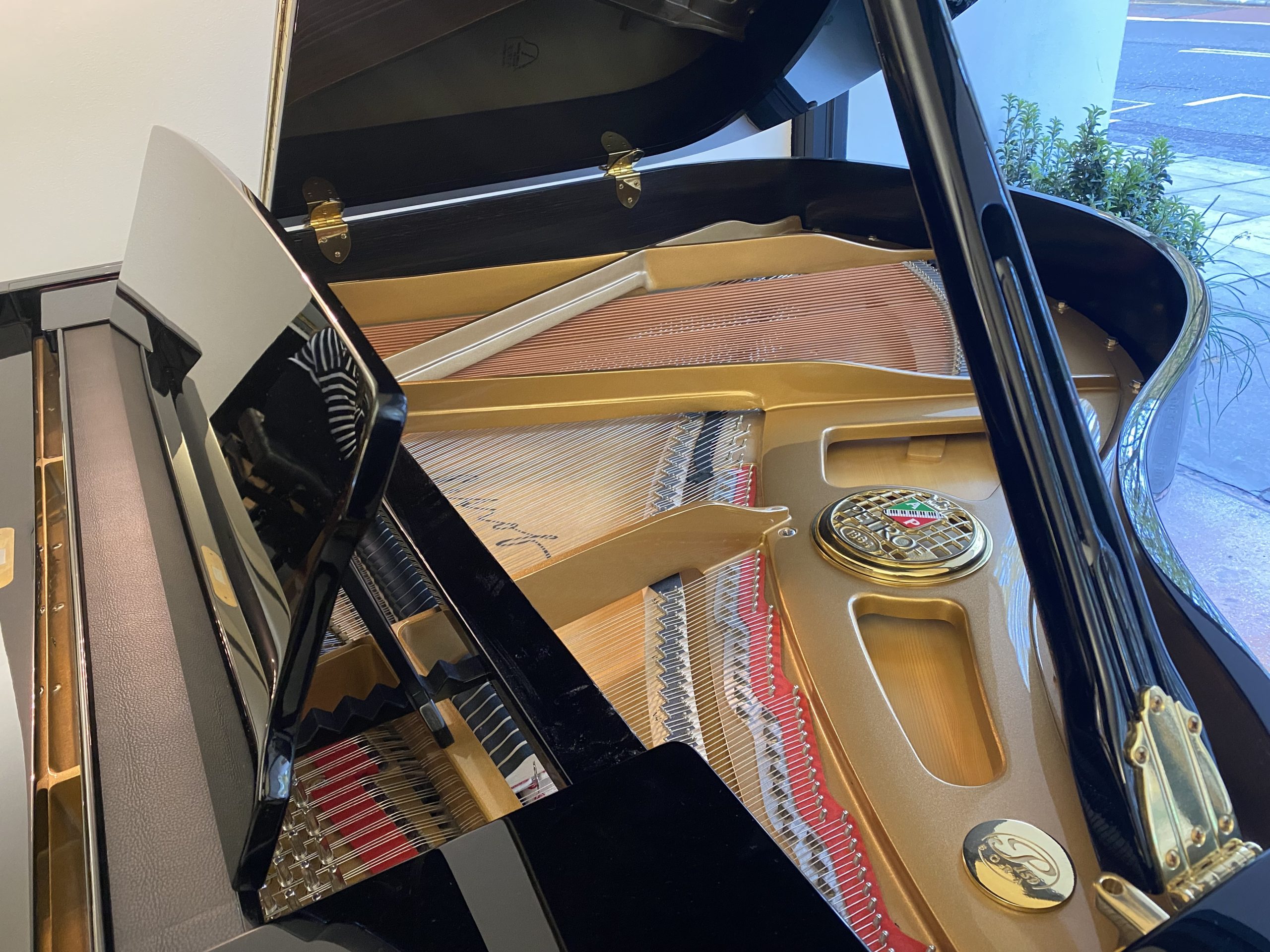 Petrof 159 Bora view