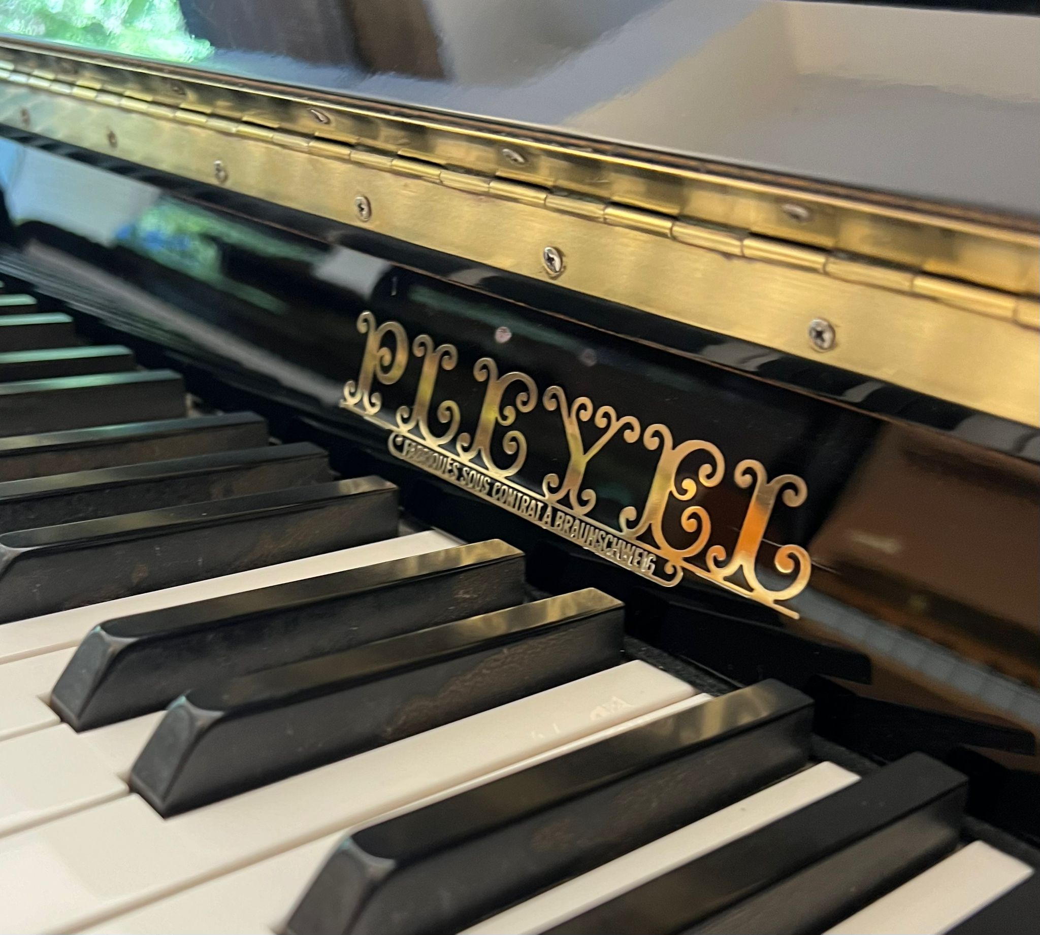 Pleyel Chenonceau view