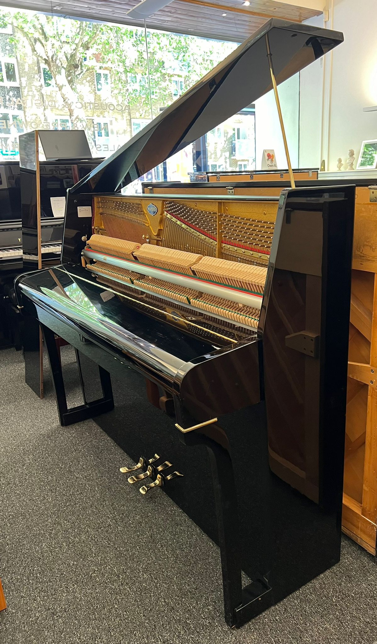 Pleyel Chenonceau view