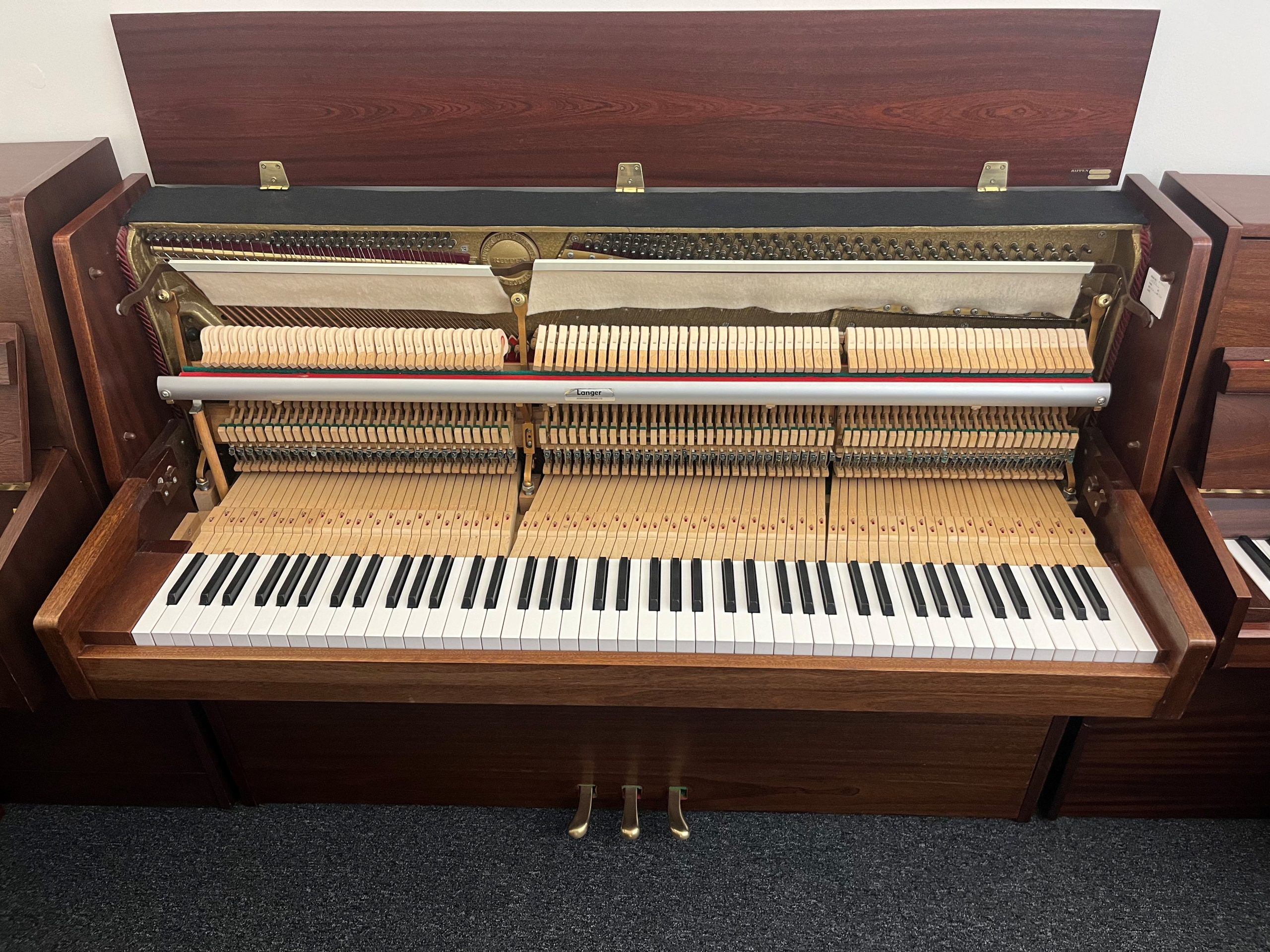 Rippen Cantabile view