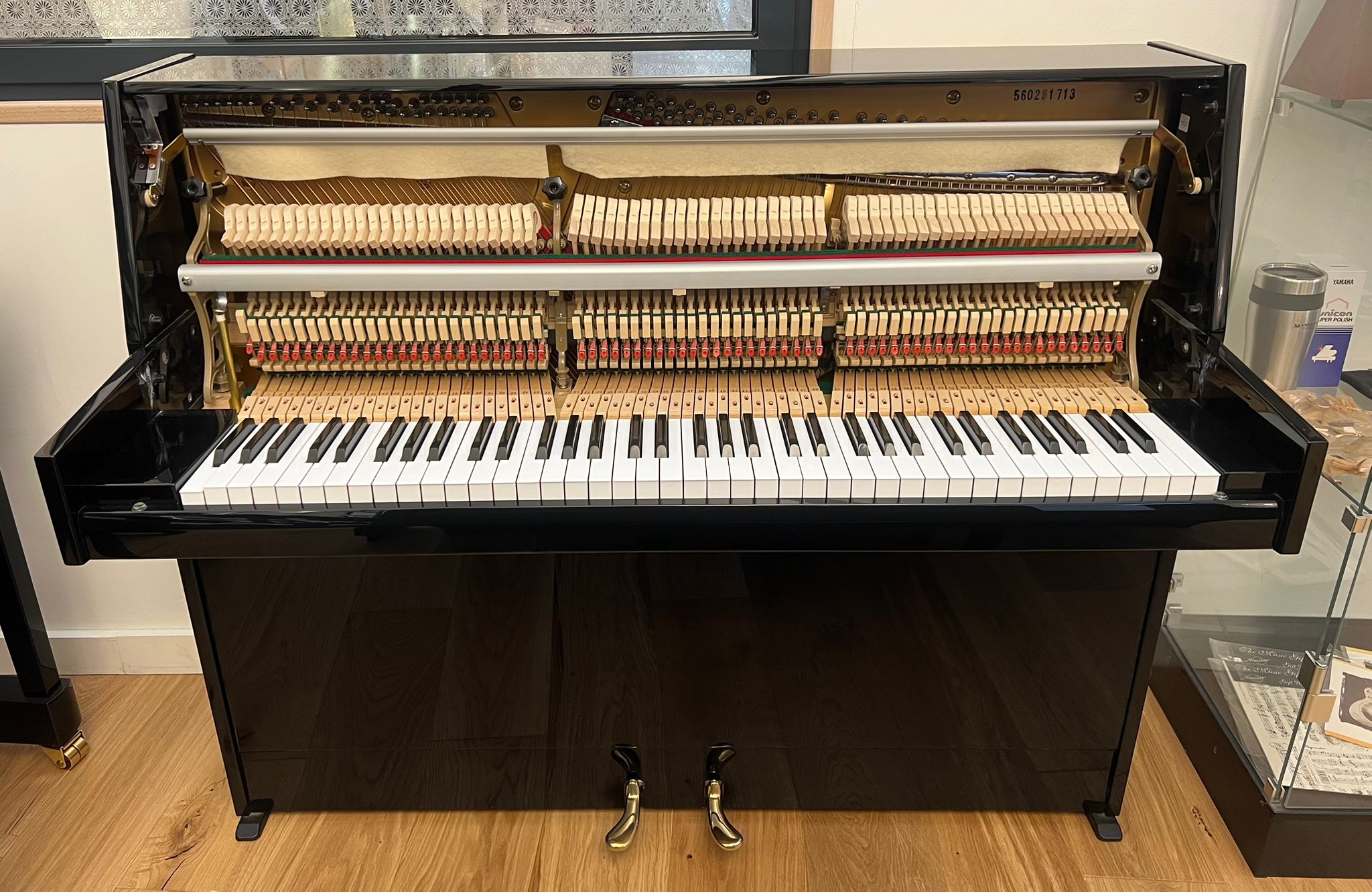 Steinmayer 6 Octave view