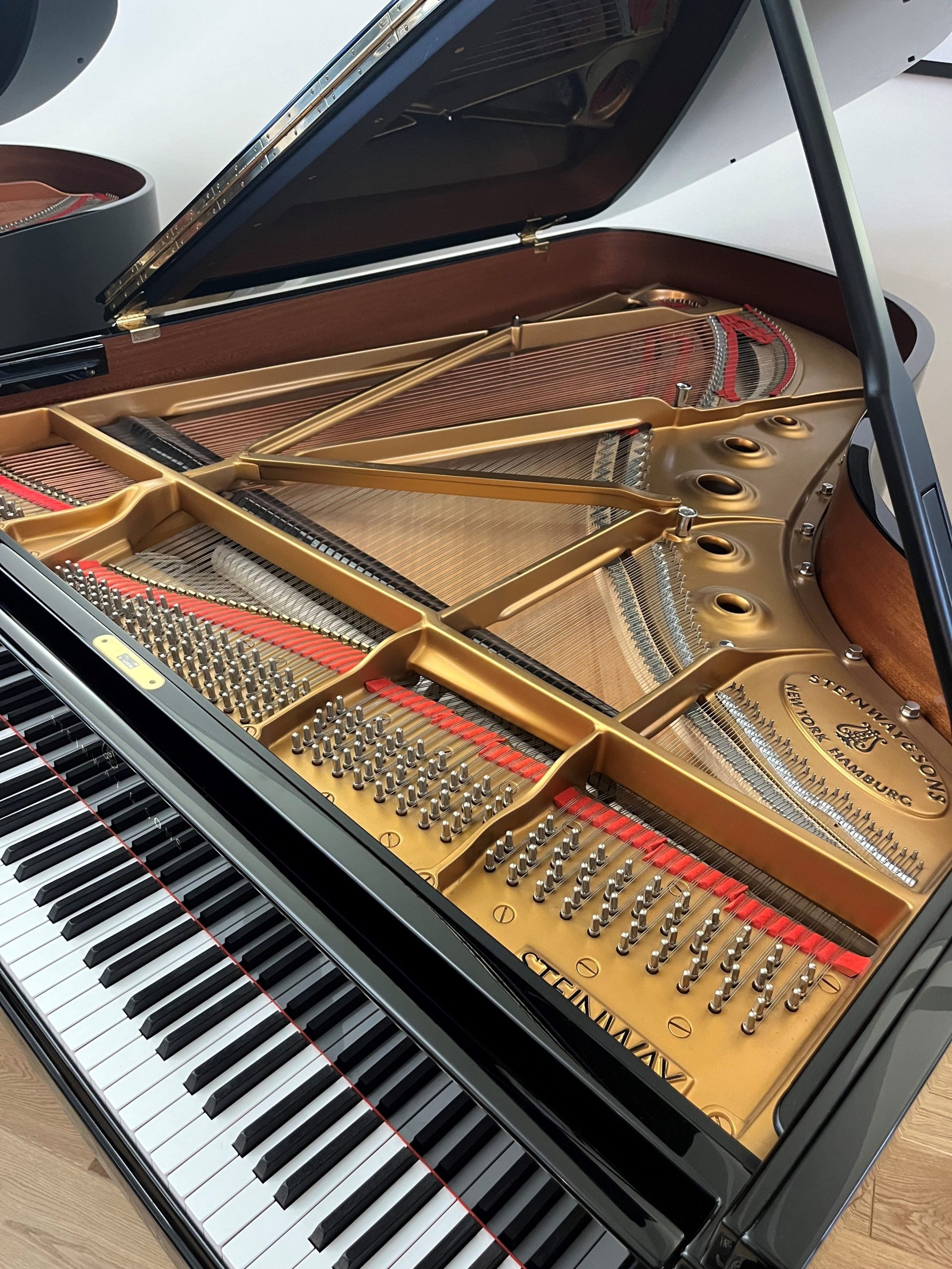 Steinway B view
