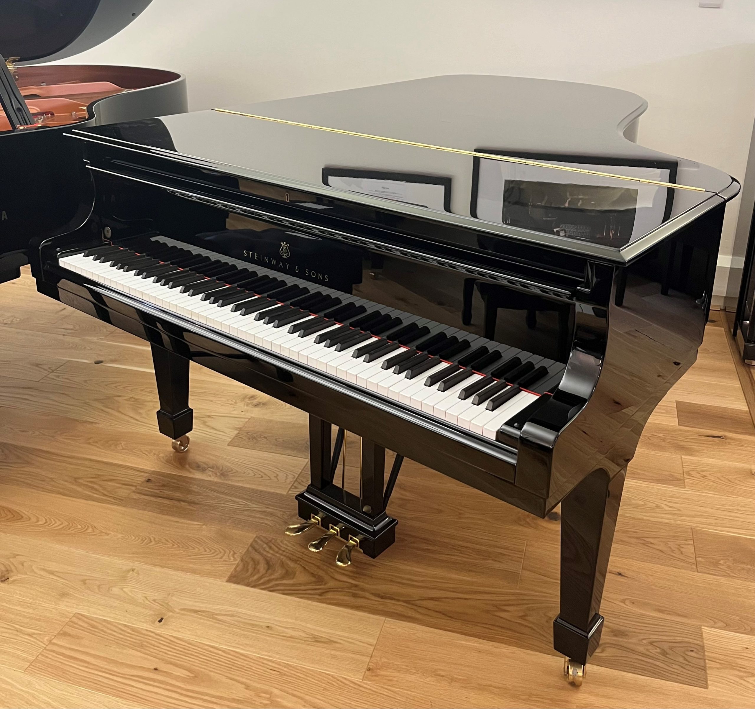 Steinway B view