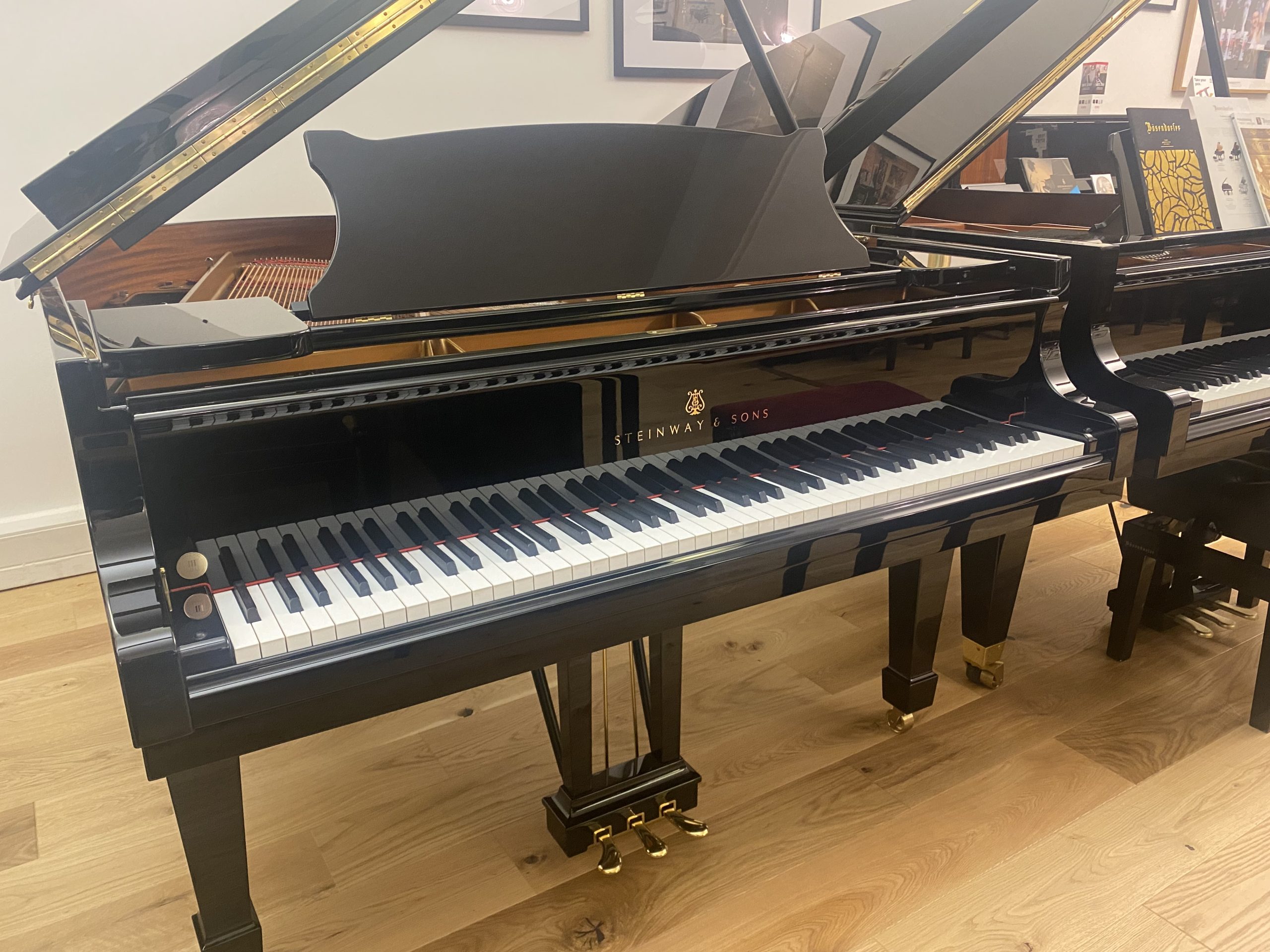 Steinway Model O