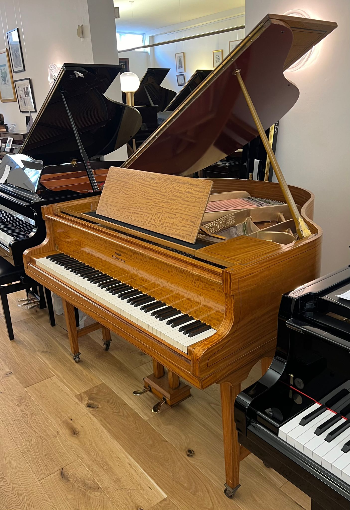 Swiss Bechstein view