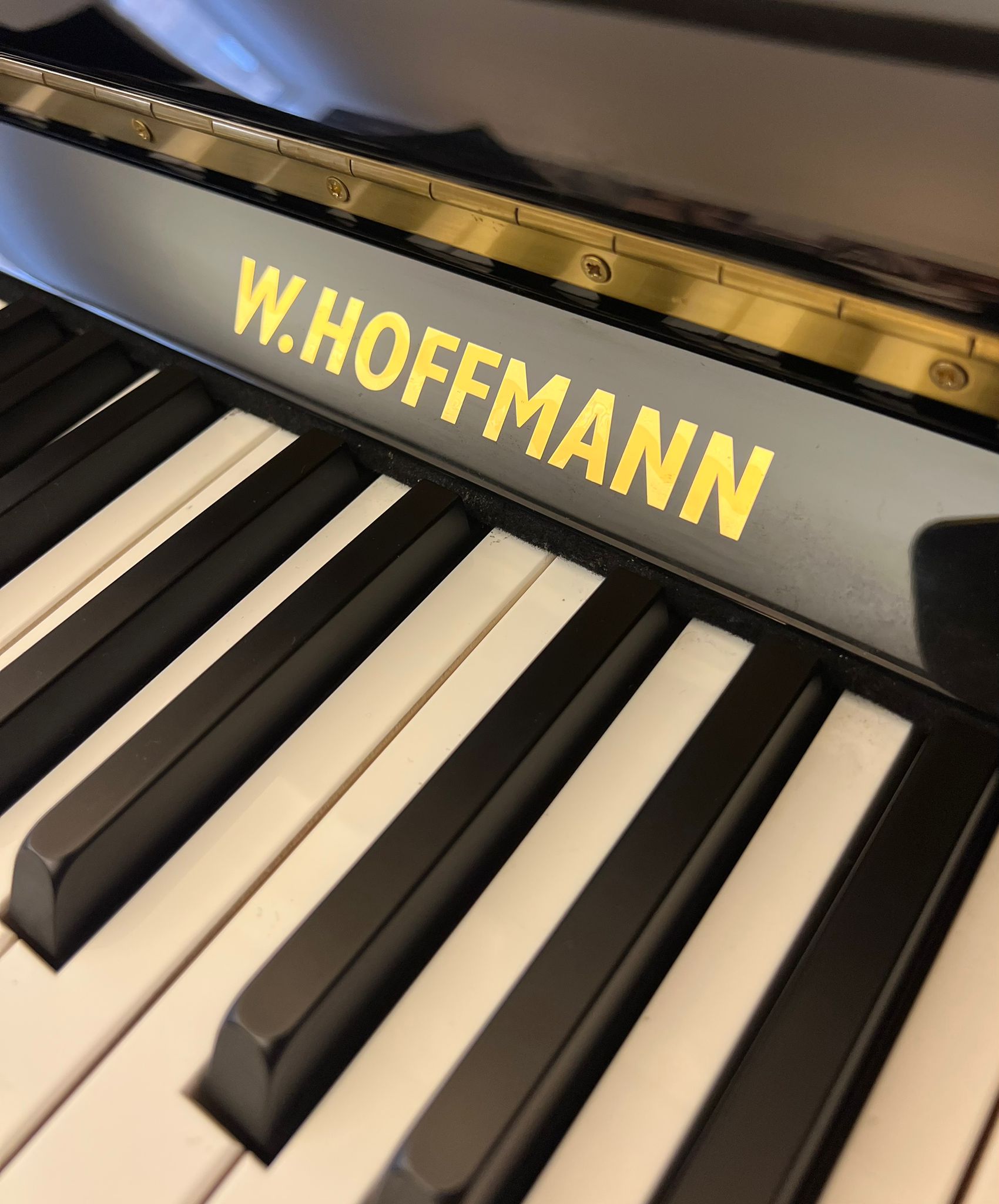 W. Hoffmann V120 view