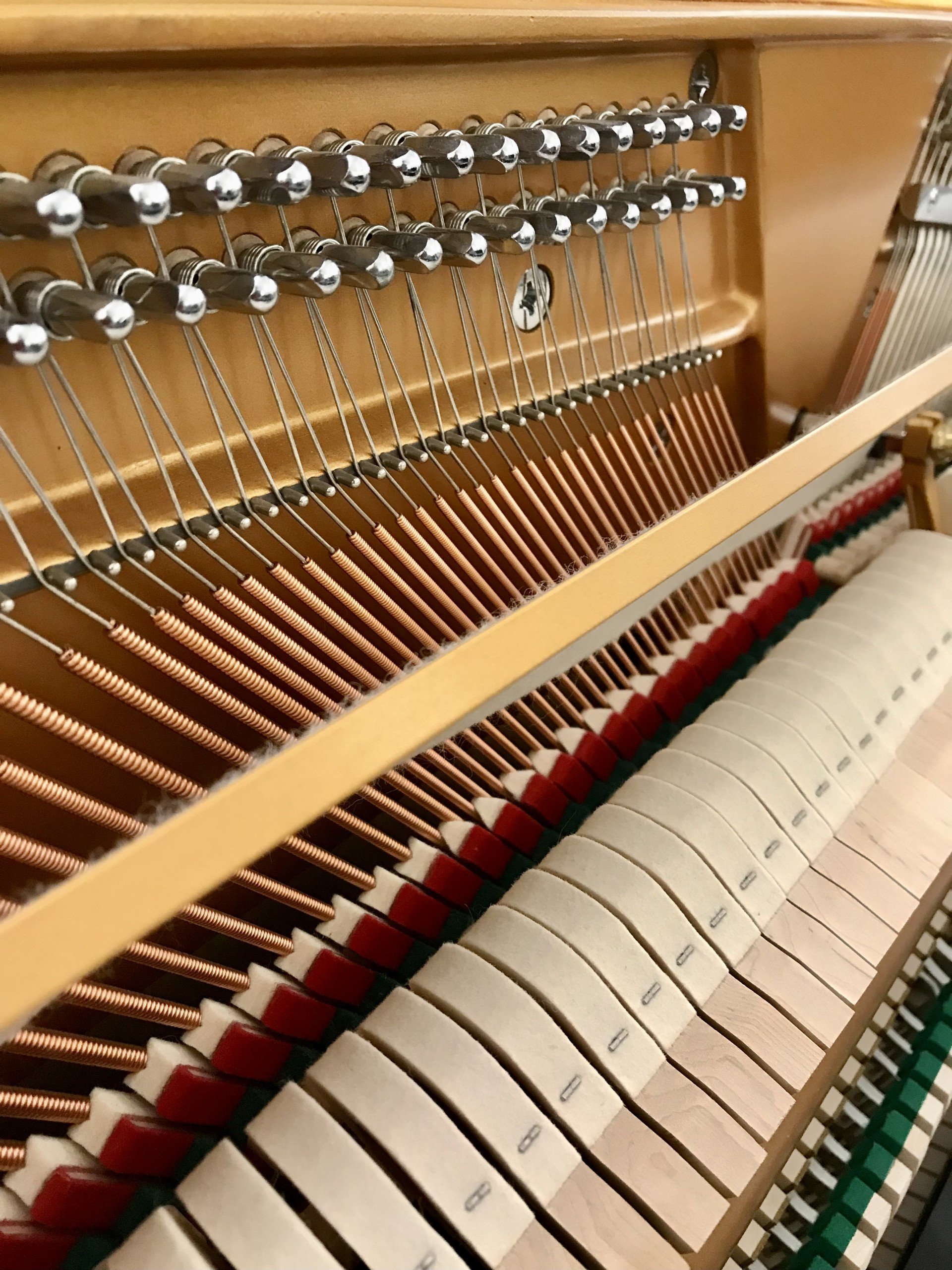 Waldstein EU112 view