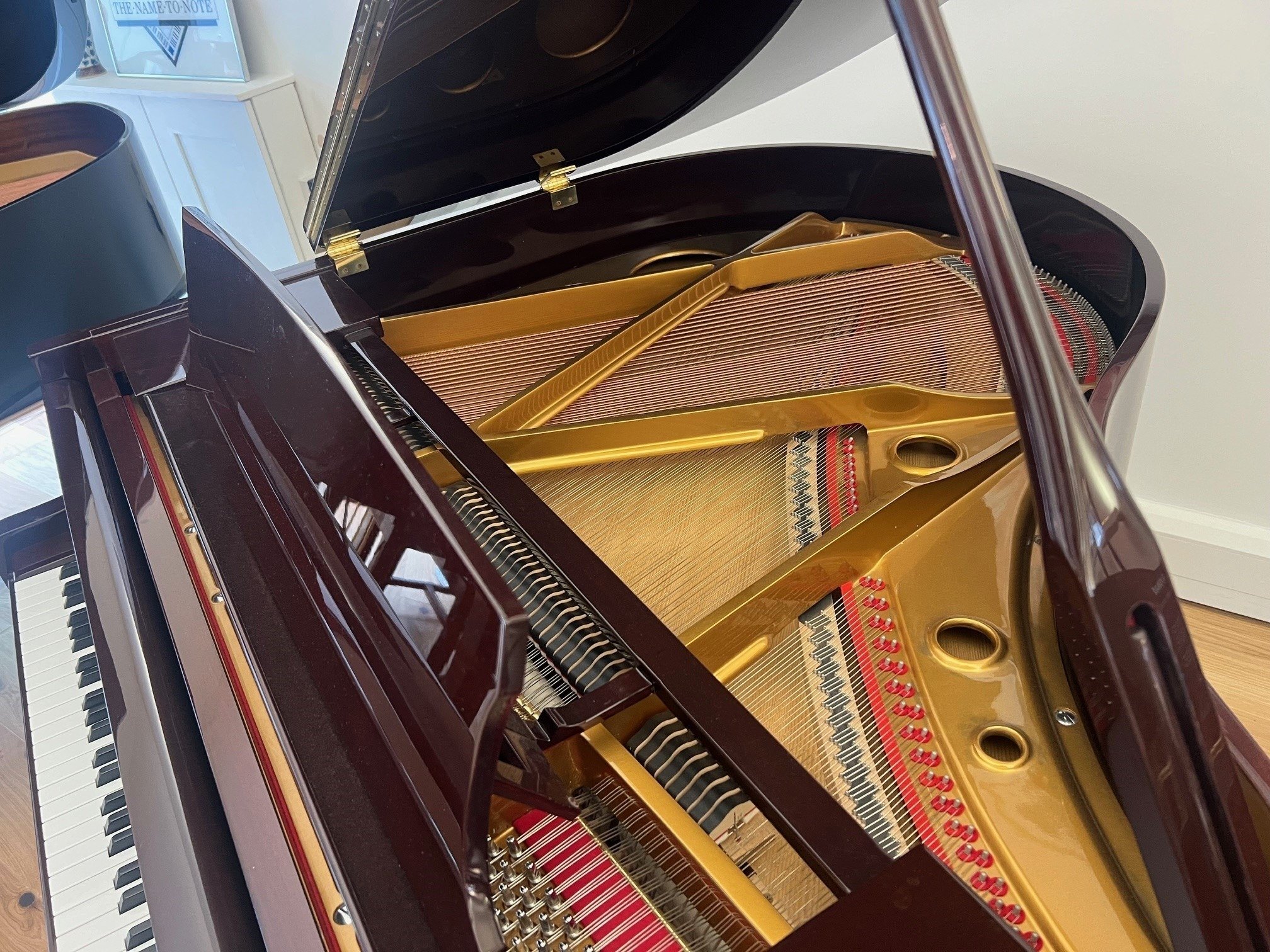 Waldstein GP142 view