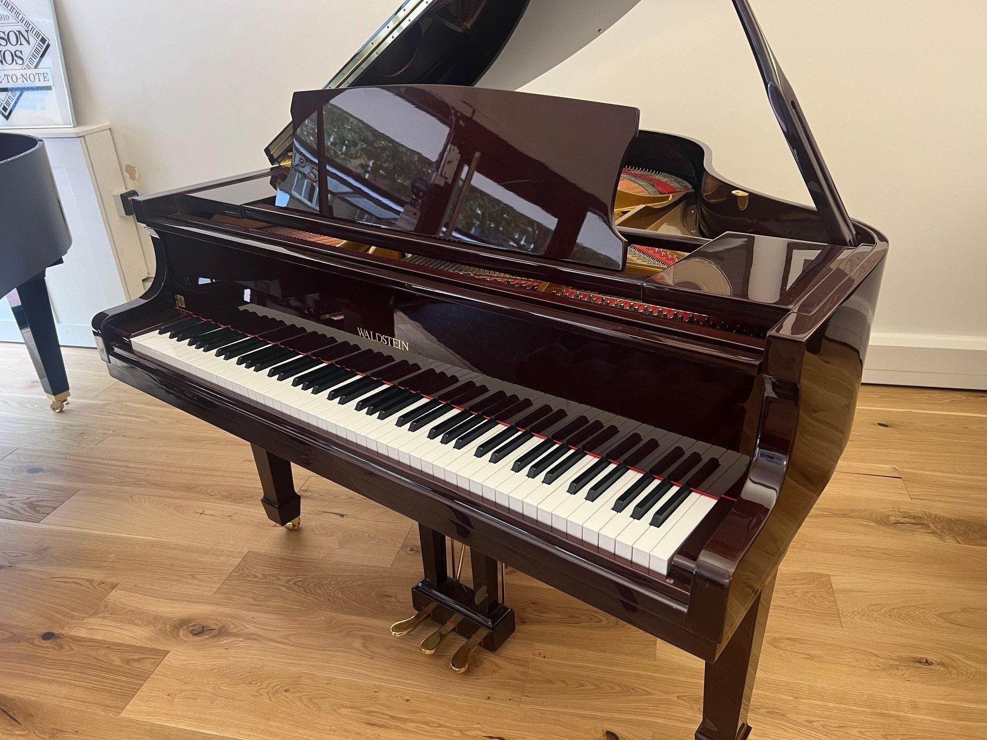 Waldstein GP142 view