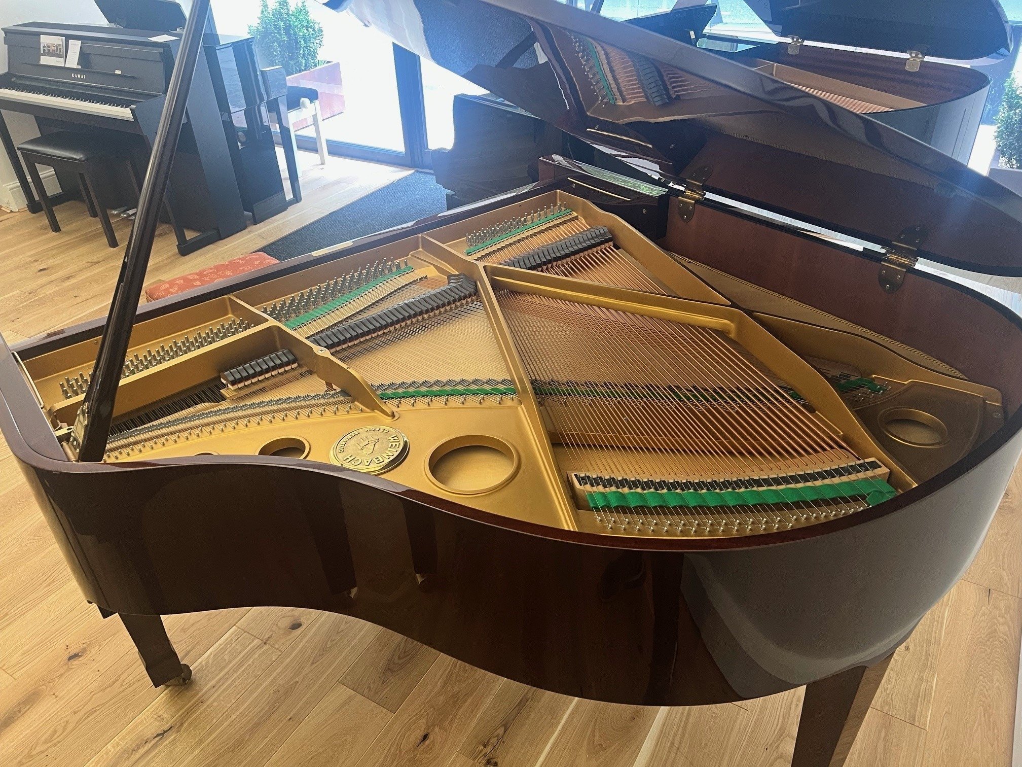 Weinbach (Petrof)158 view