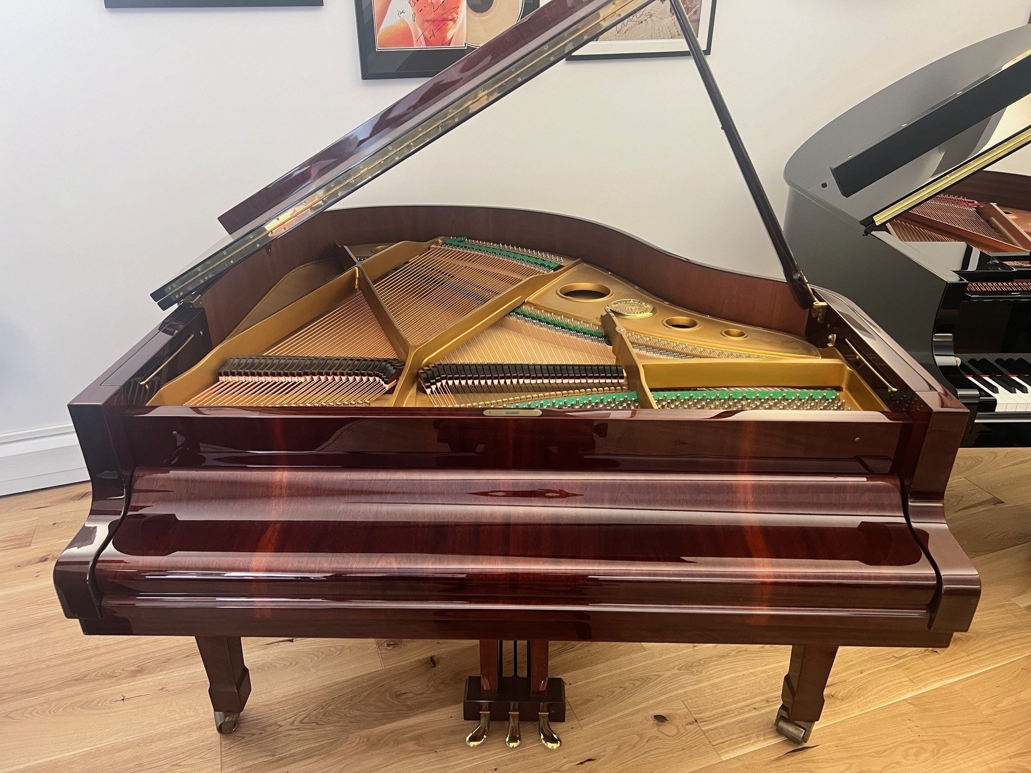 Weinbach (Petrof)158 view