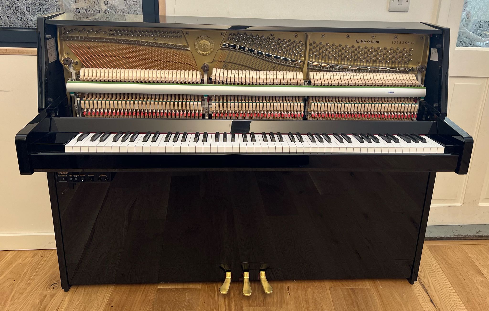 Yamaha B1 Silent SG2 view