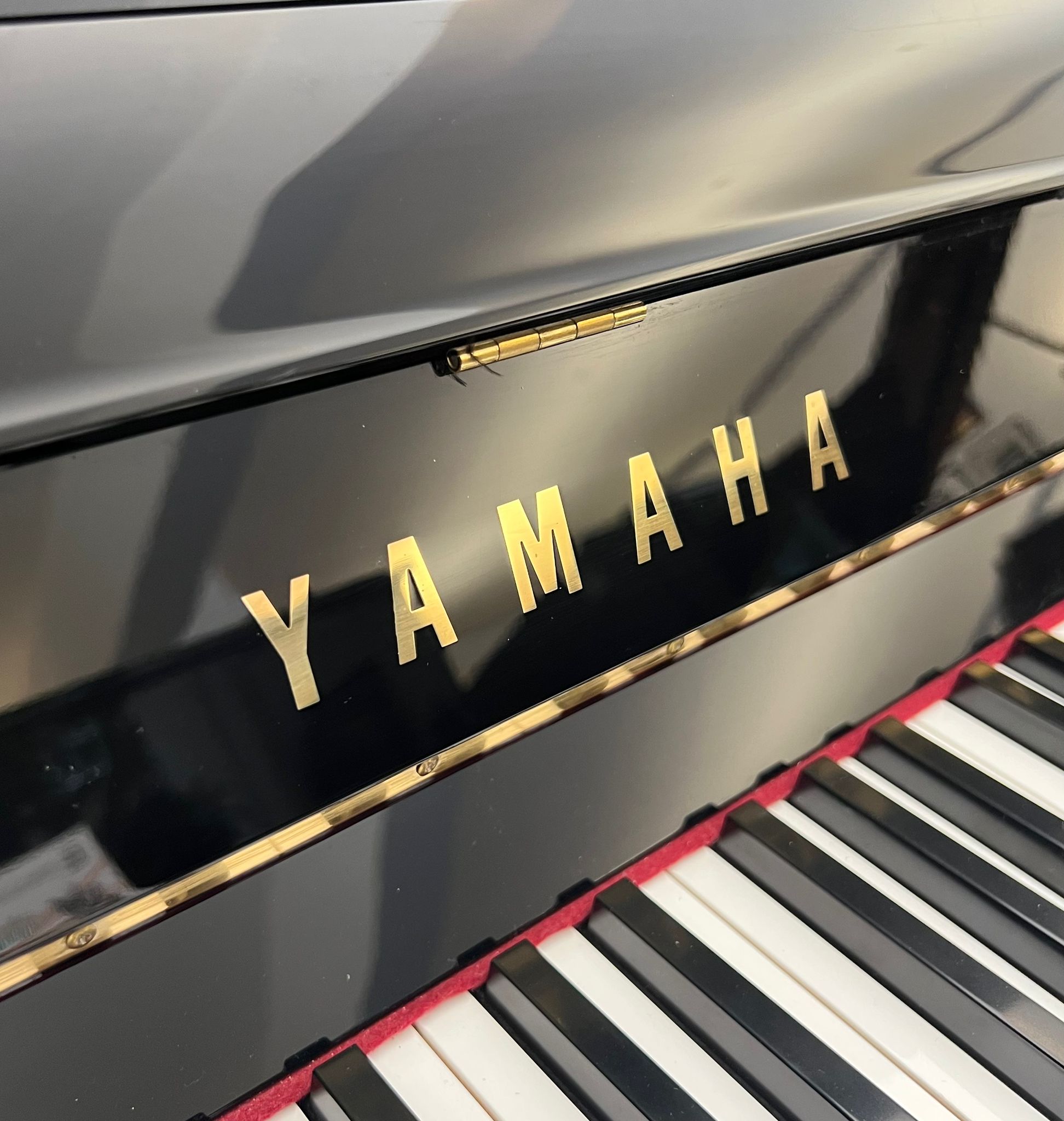 Yamaha P121 view