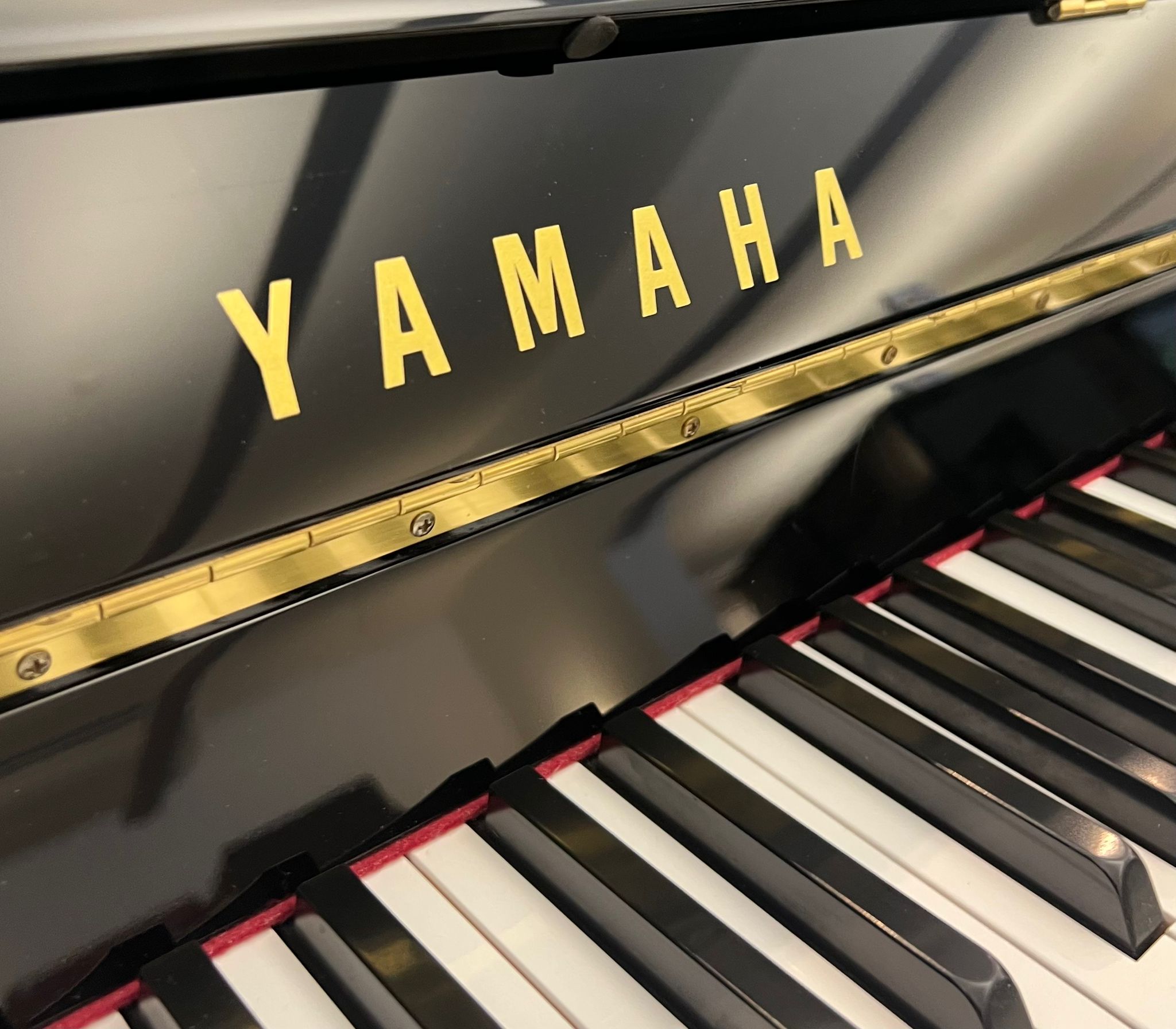 Yamaha B1 Silent SG2 view