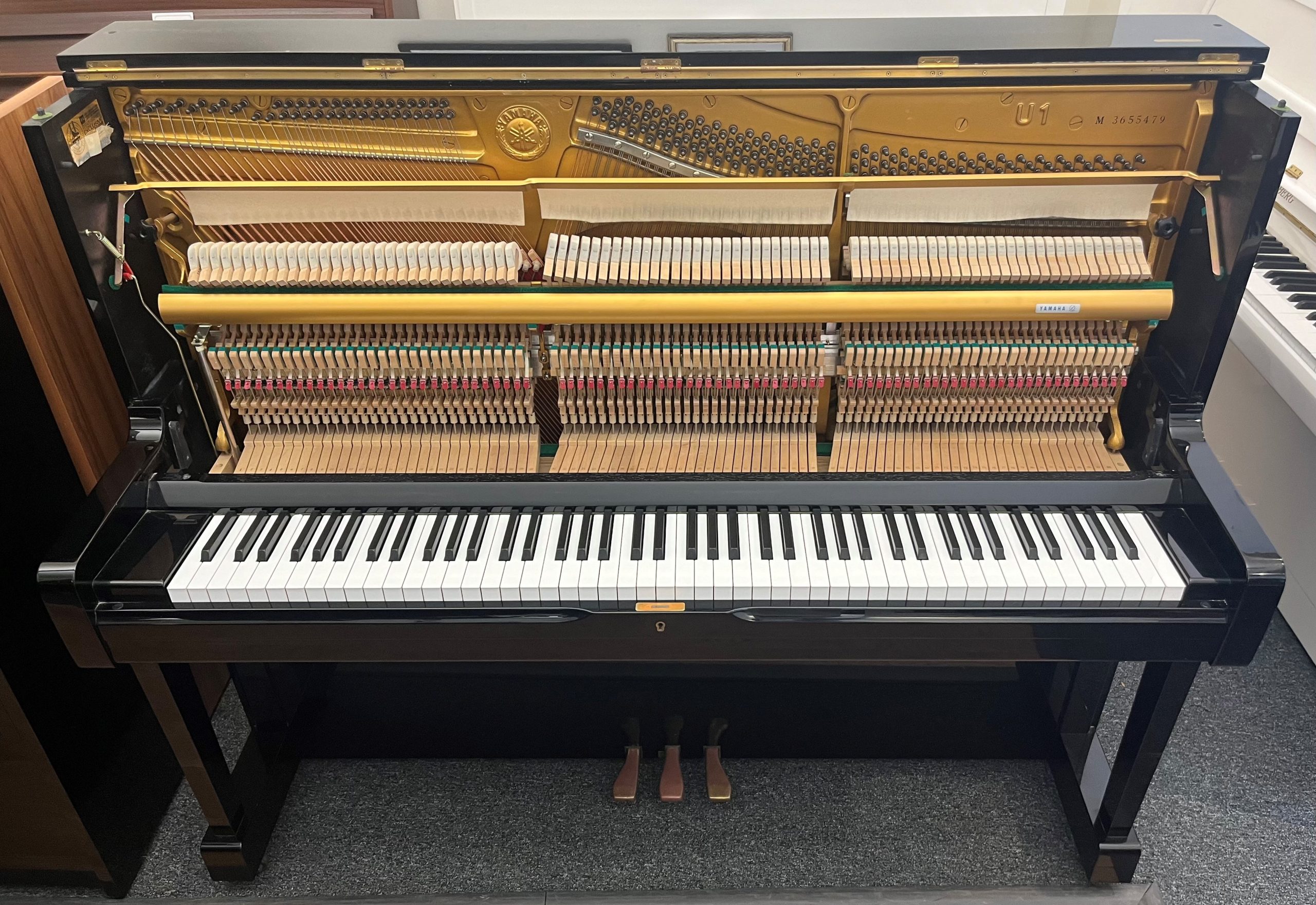 Yamaha U1M view
