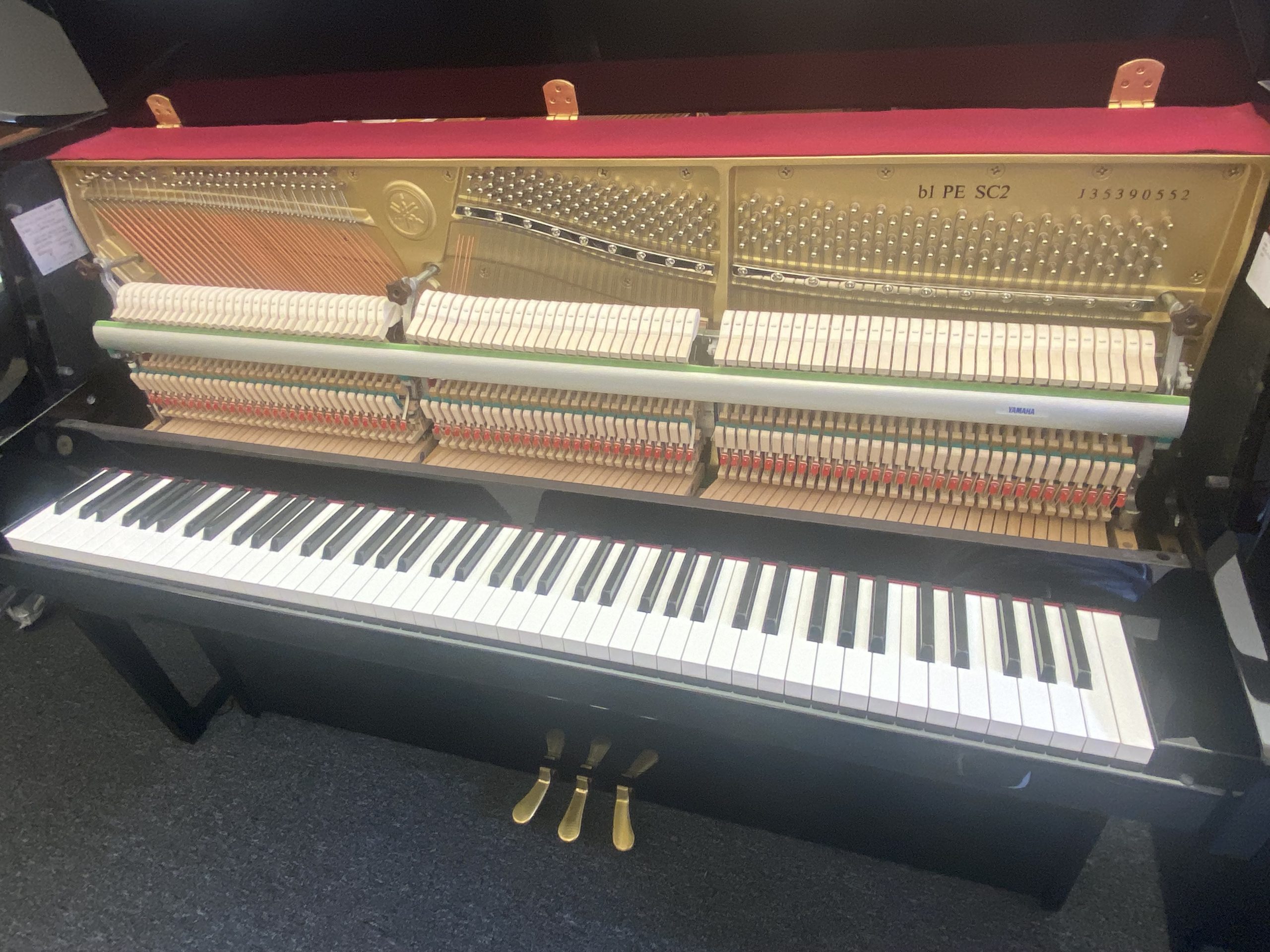 Yamaha B1 Silent SC2 view