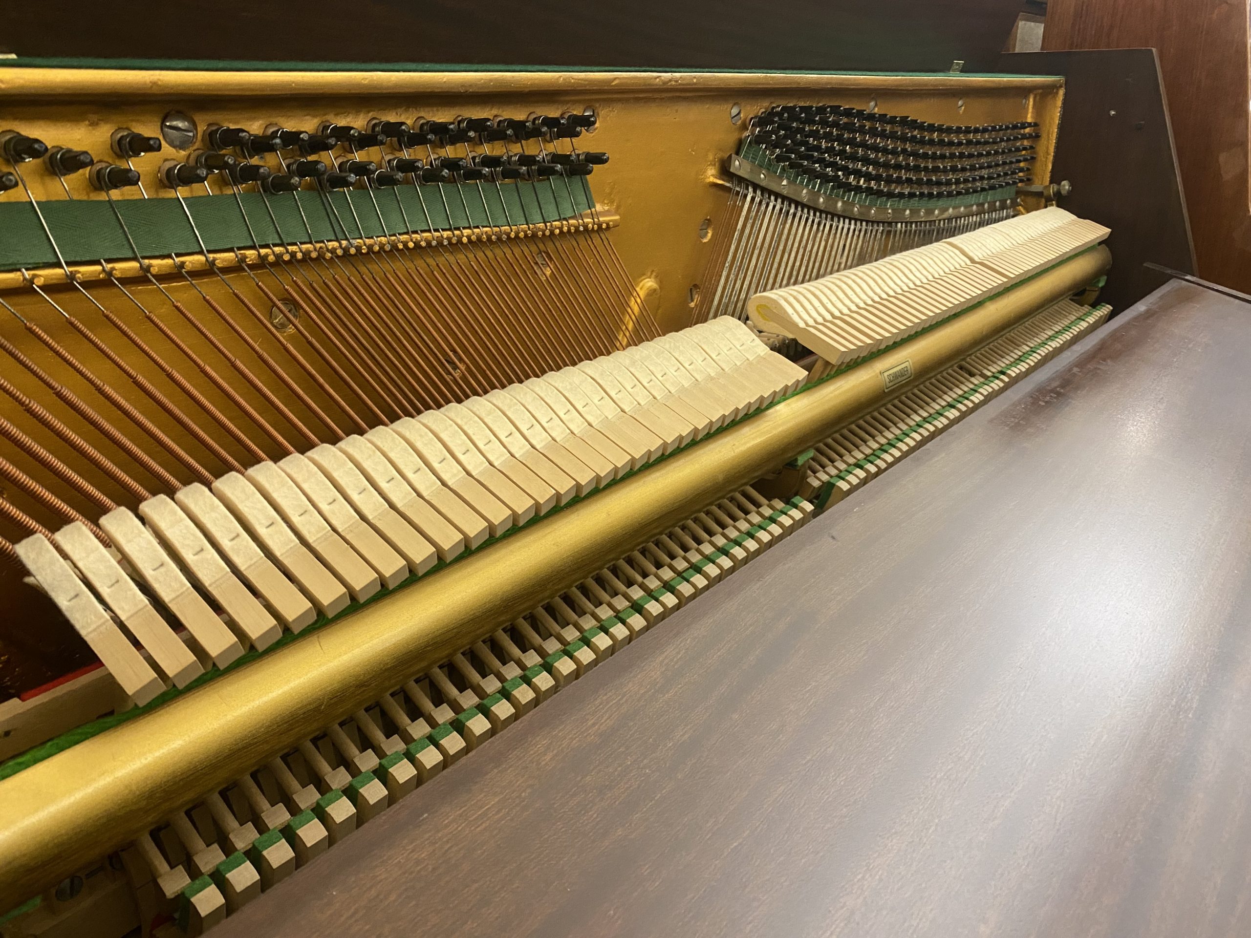 Zender President view