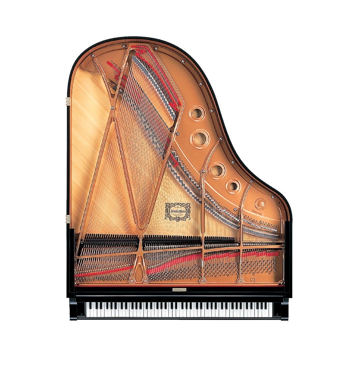 Yamaha DC3X Disklavier Enspire Pro Grand Piano view