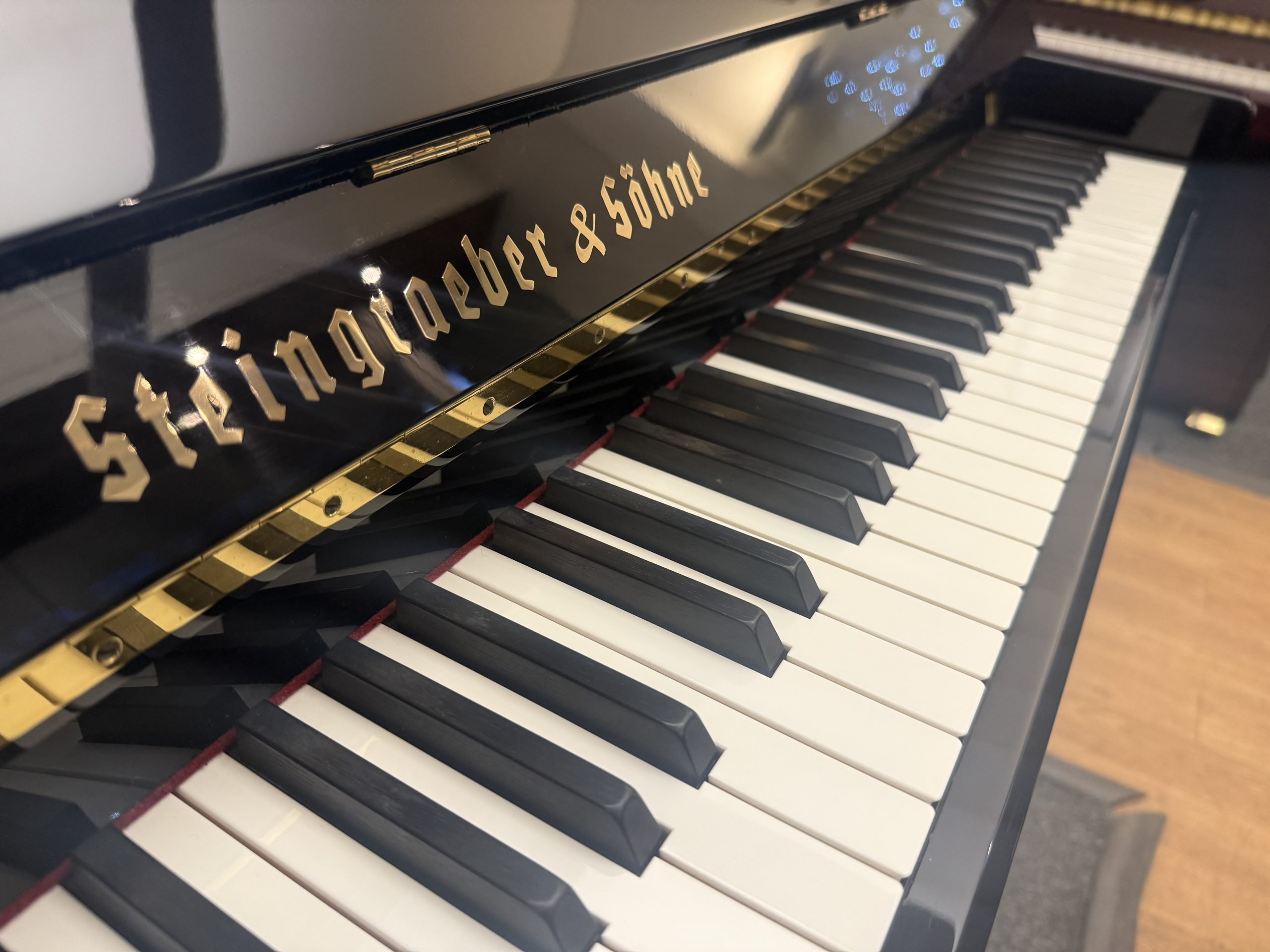 Steingraeber 122 view