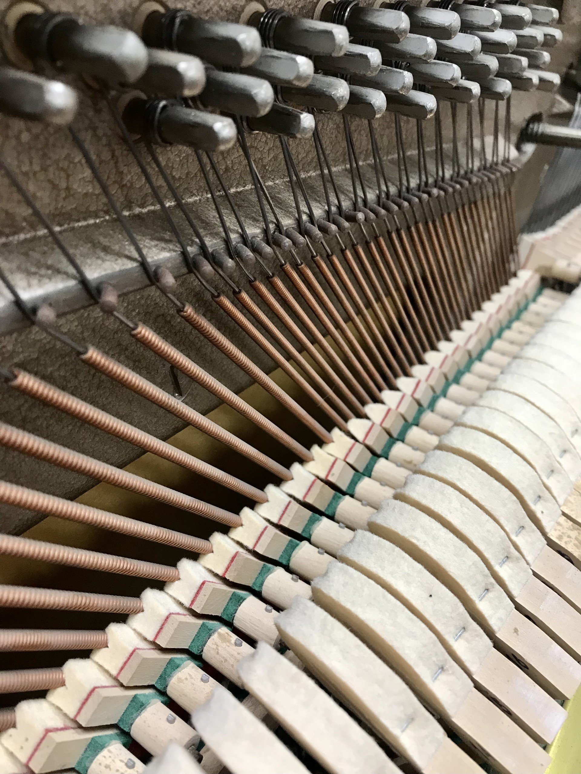 Geyer Dresden – This piano is being prepared. Please contact us to arrange a viewing. view