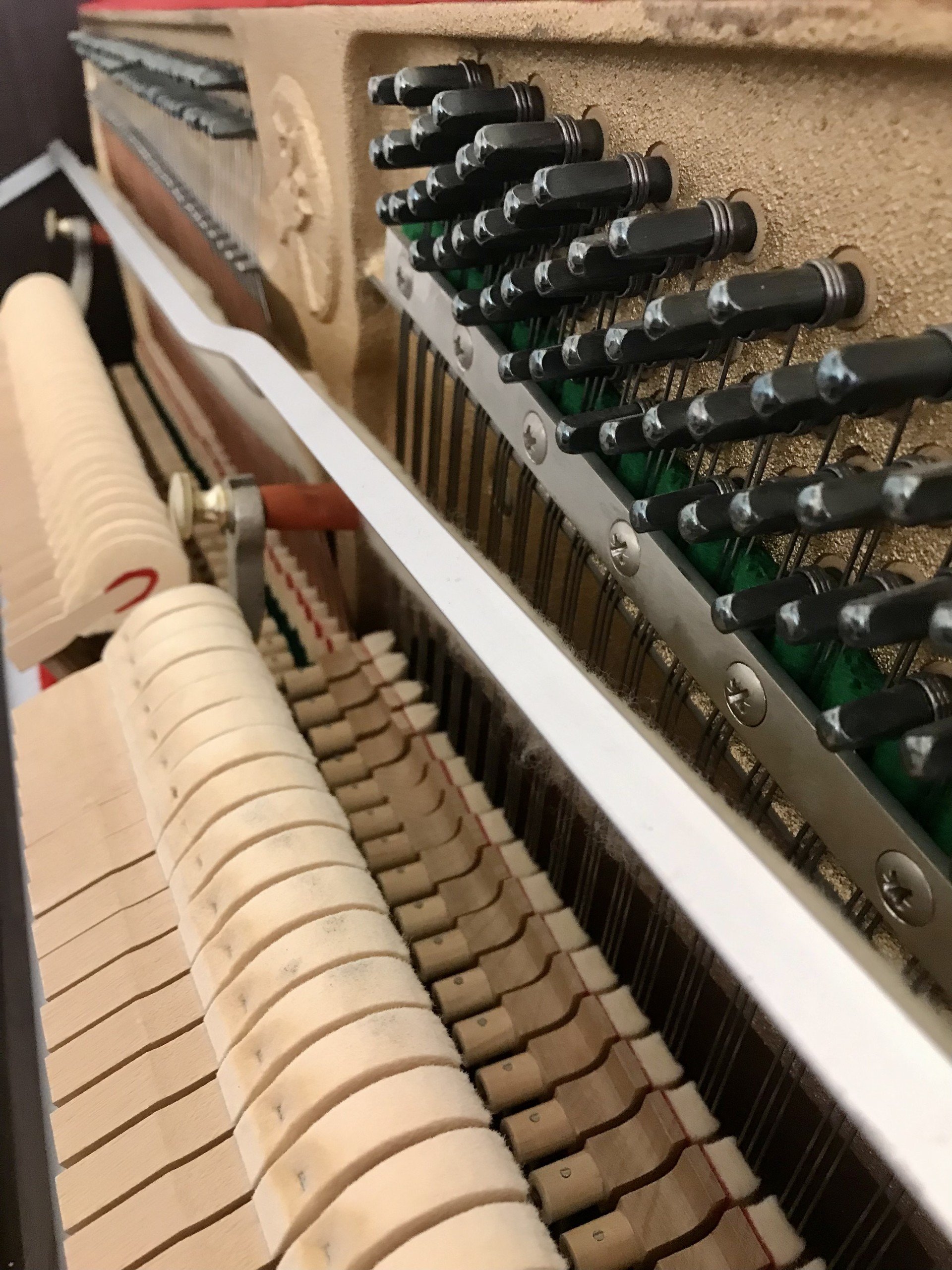 Hohner 106 view
